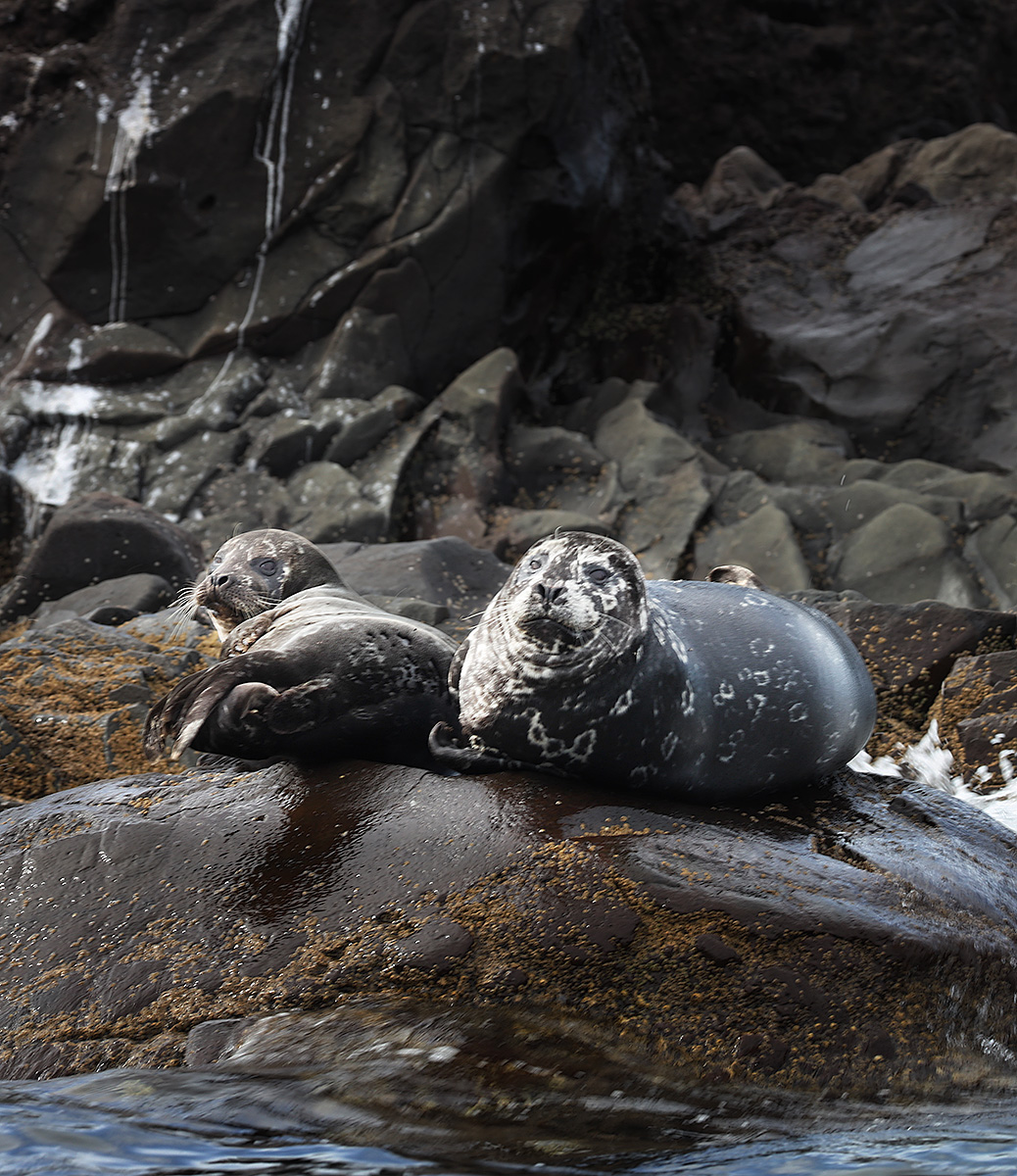 , Артем Удодов