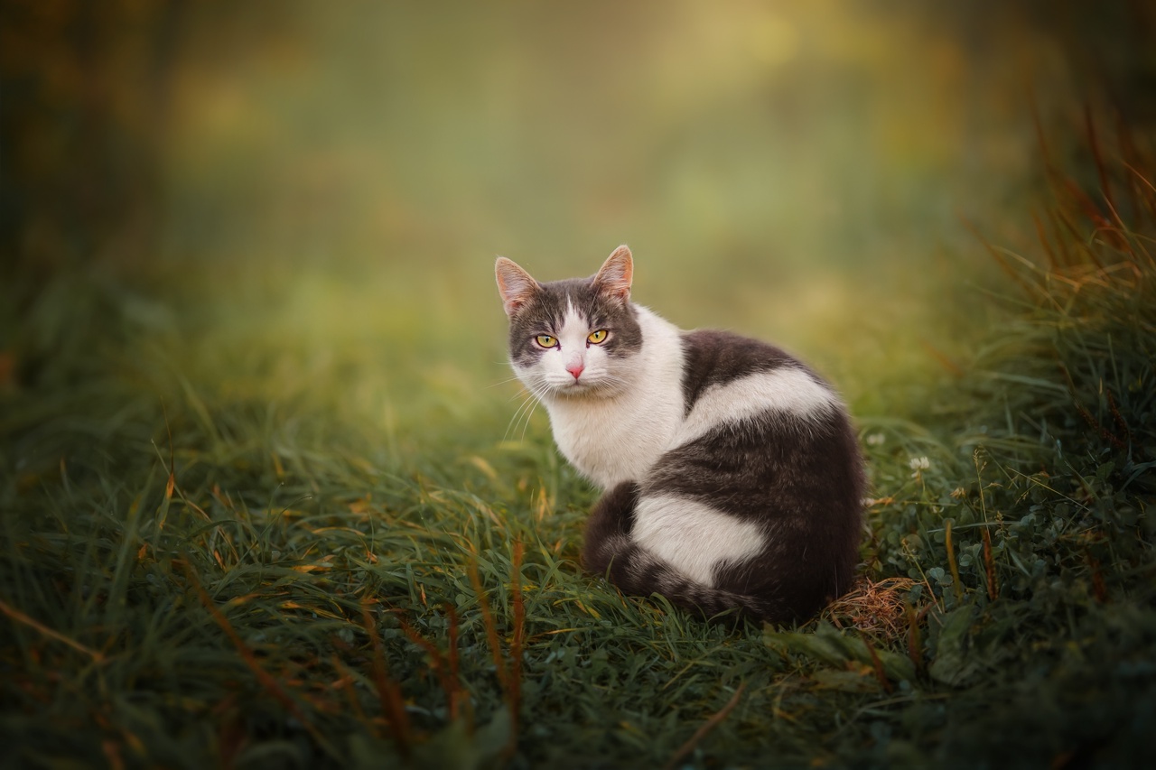 , Наталия Матвеева