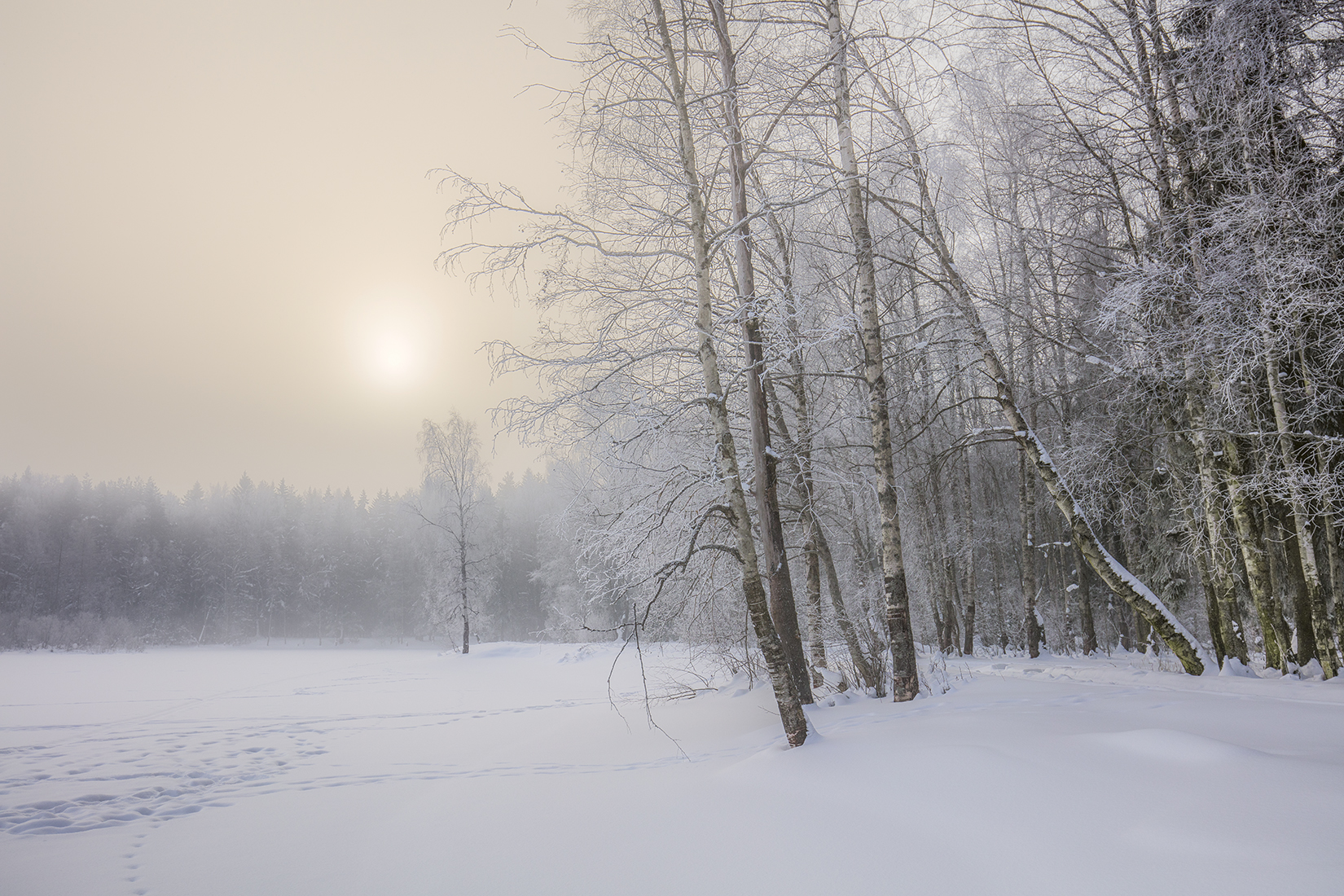 ,  александр михайлов