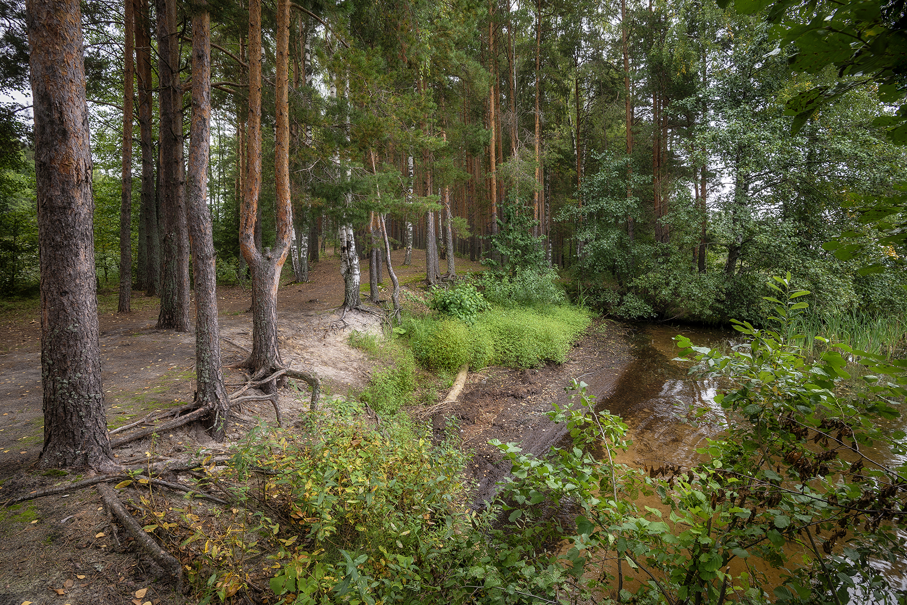 , Сергей Аникин