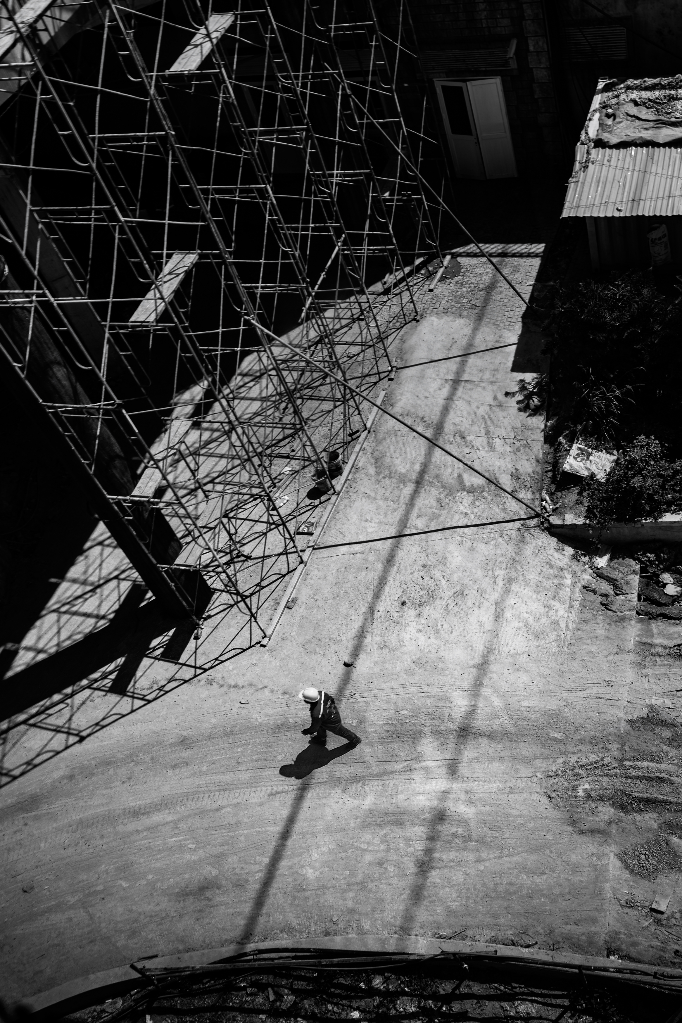 , Trần Thành Đạt