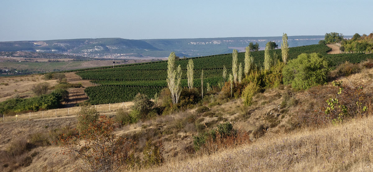 , Андрей Гусаченко