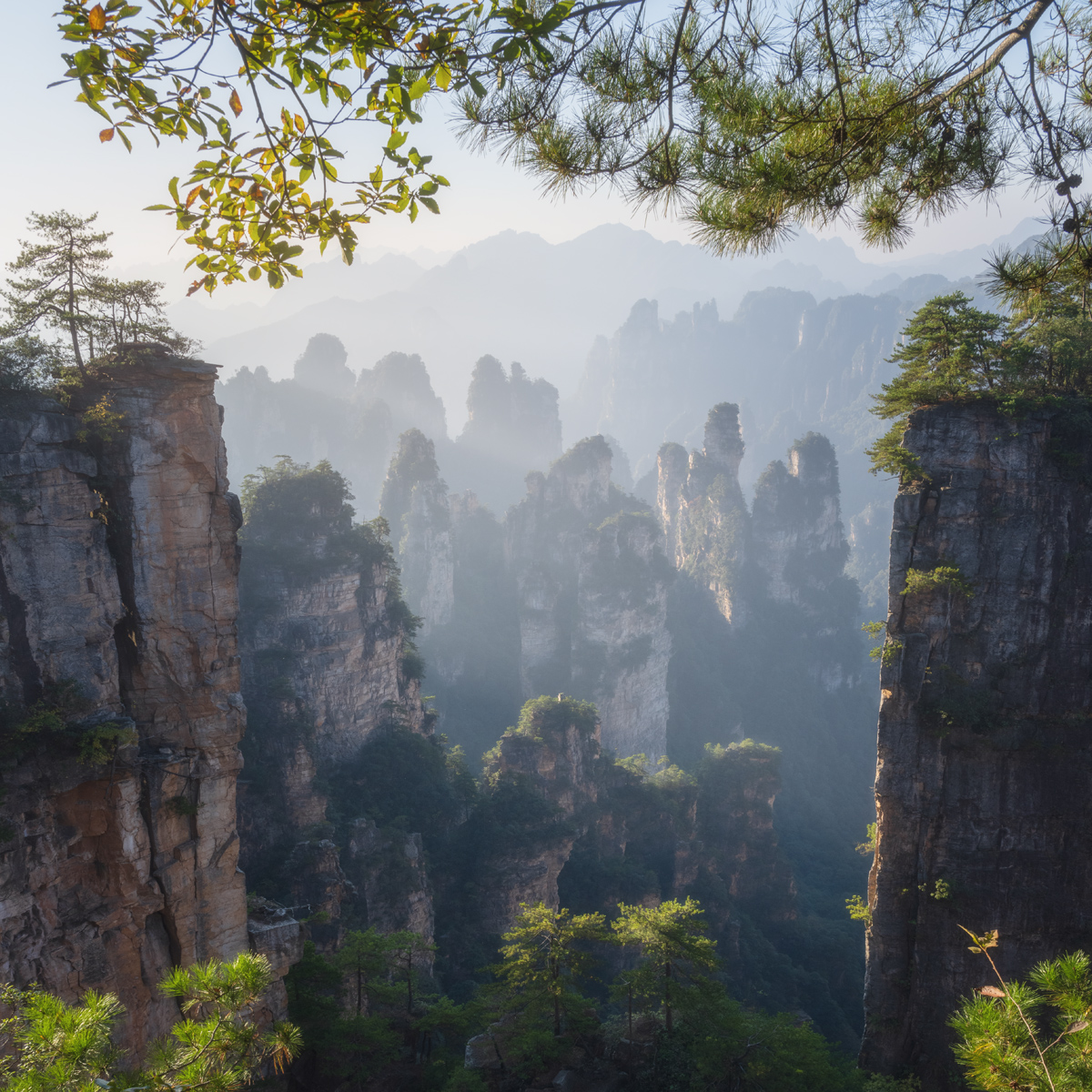 , Екатерина Сысоева