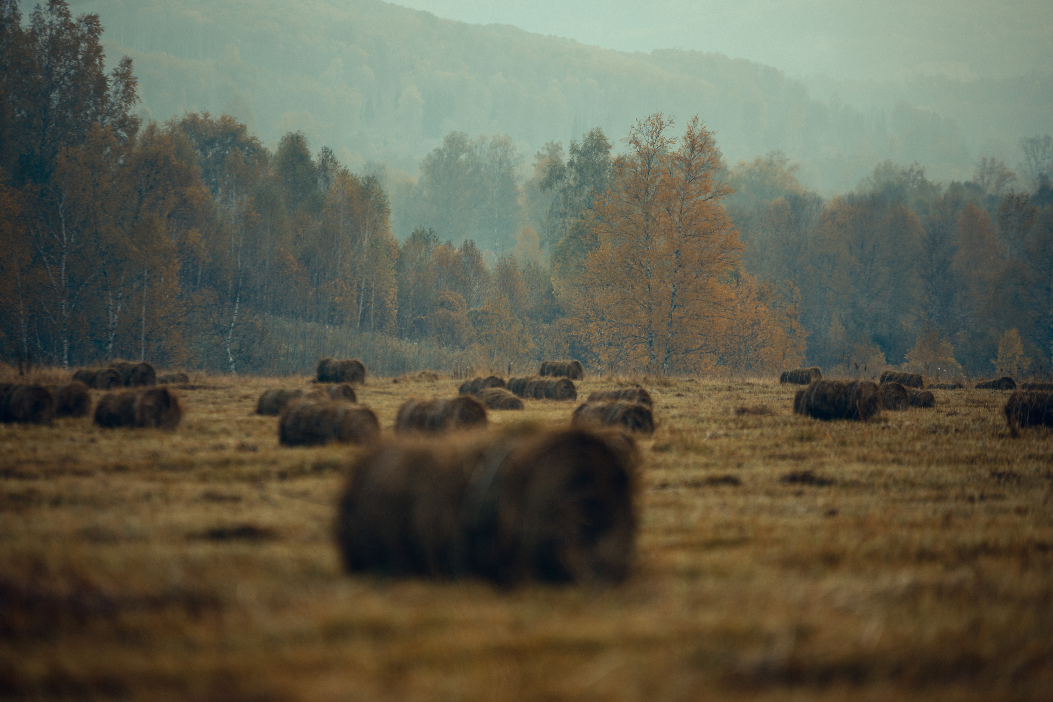осень, пейзаж, краски, желный, сено, стог, поле, Виктор Гагарин