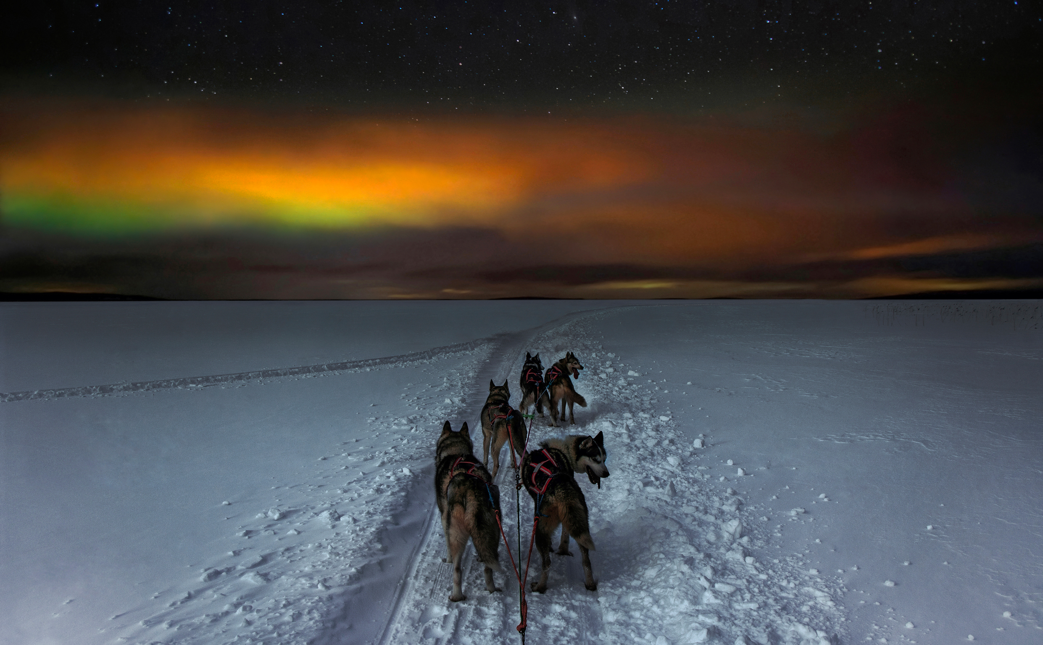 , Вадим Городницкий