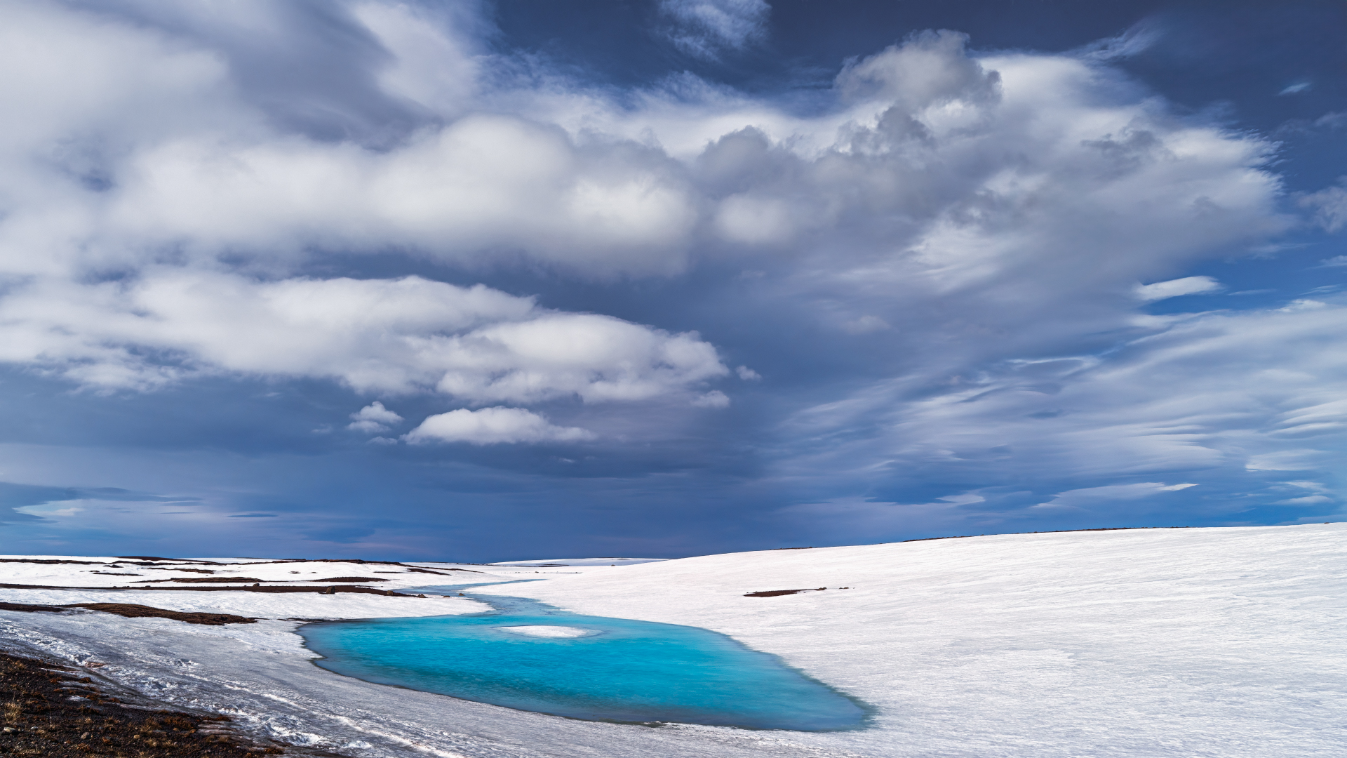 , Шварцман Евгений