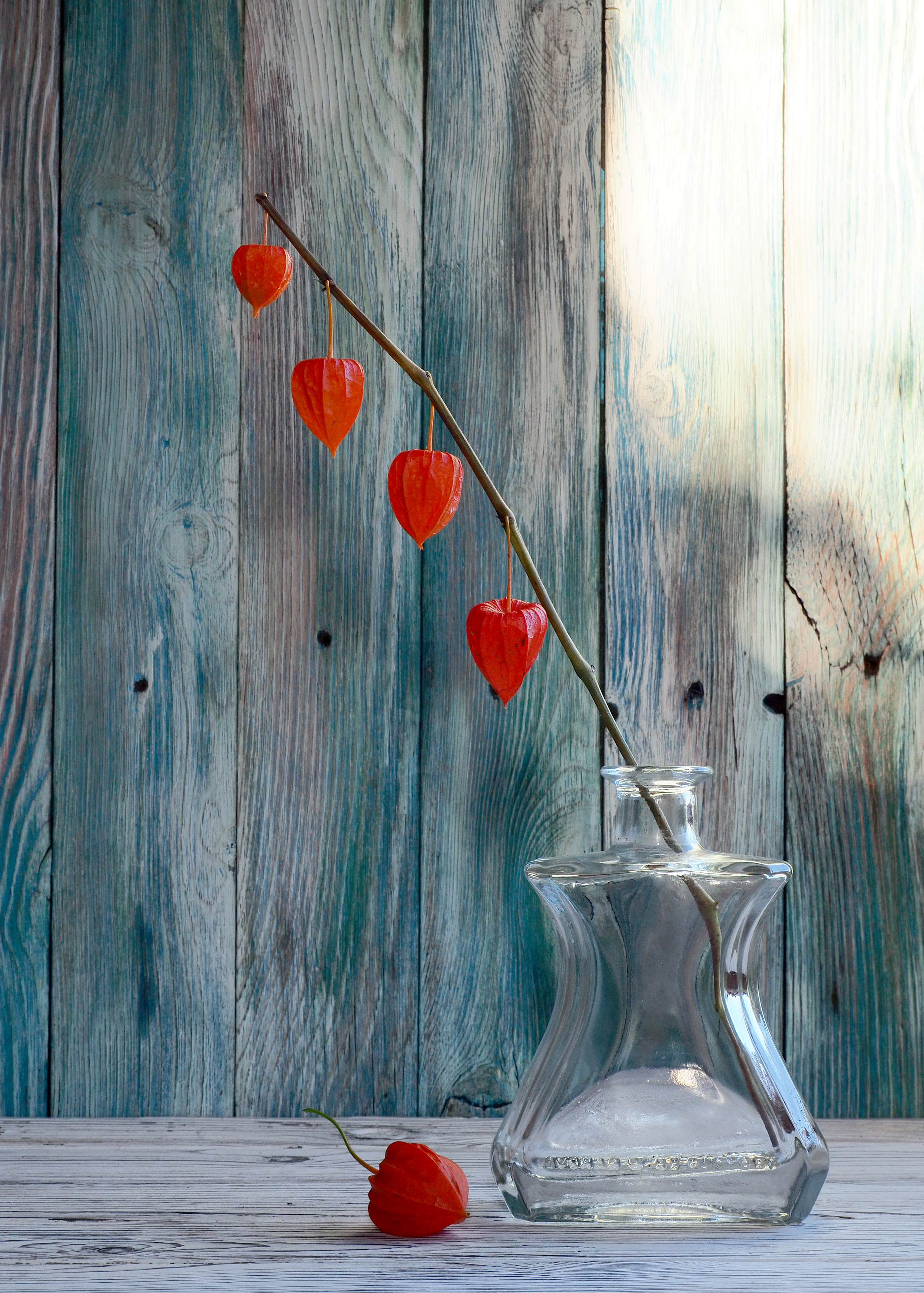 , Андрей Хаймин