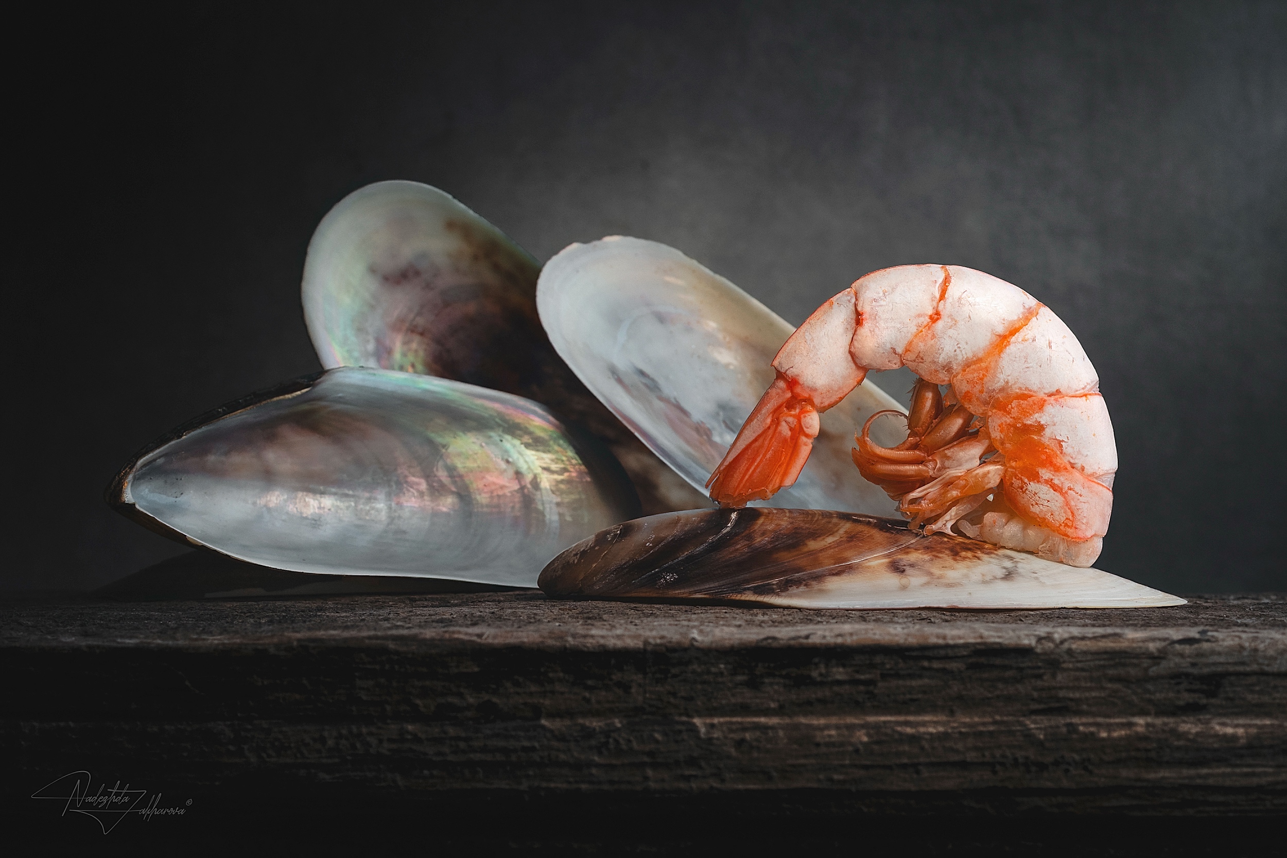 натюрморт, артфото, фудфото, креветки, понедельник, концепт, концептуальный натюрморт, осень2025, Nadezhda Zakharova