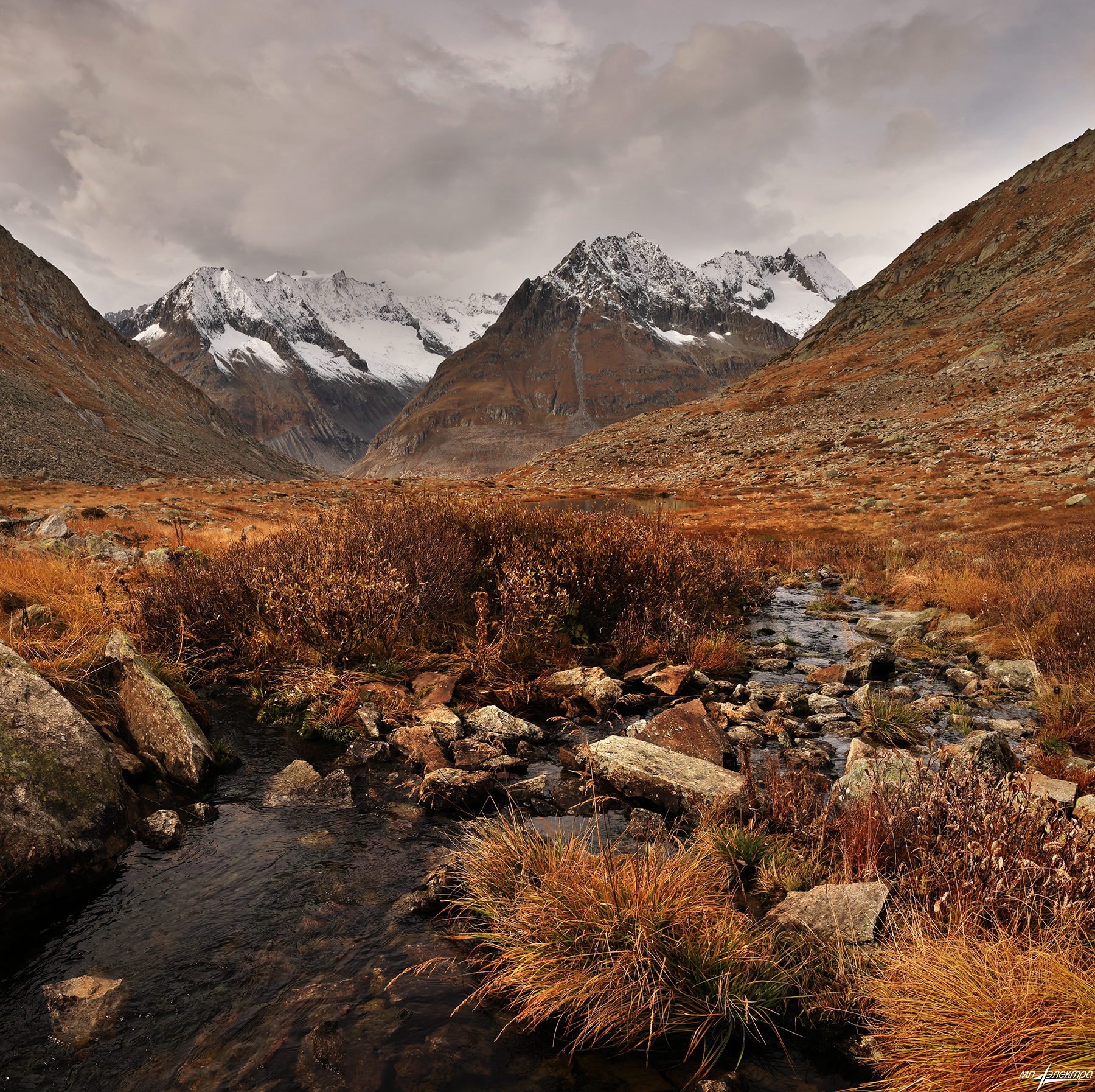 swiss, Матвеев Николай
