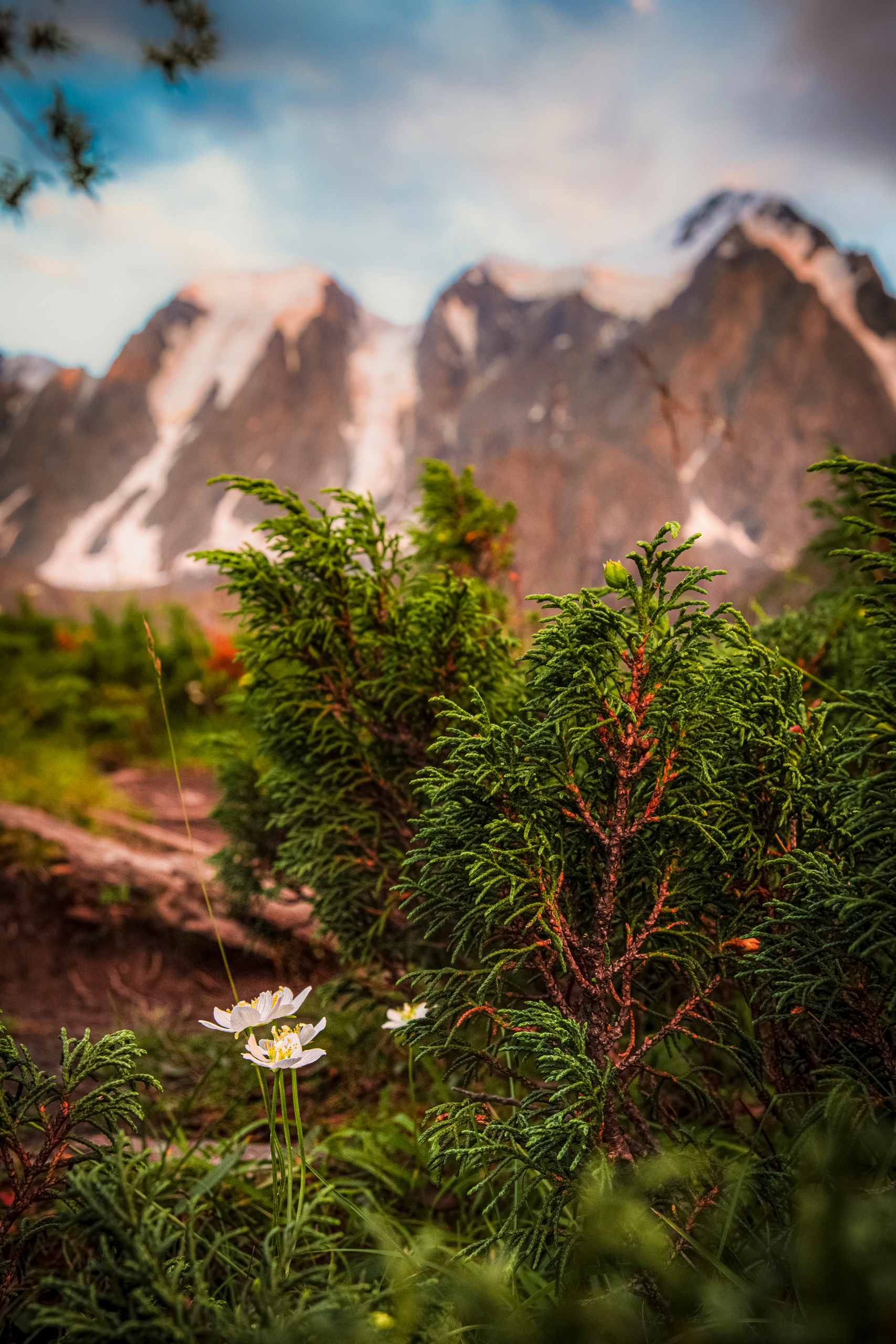 , Усанин Максим
