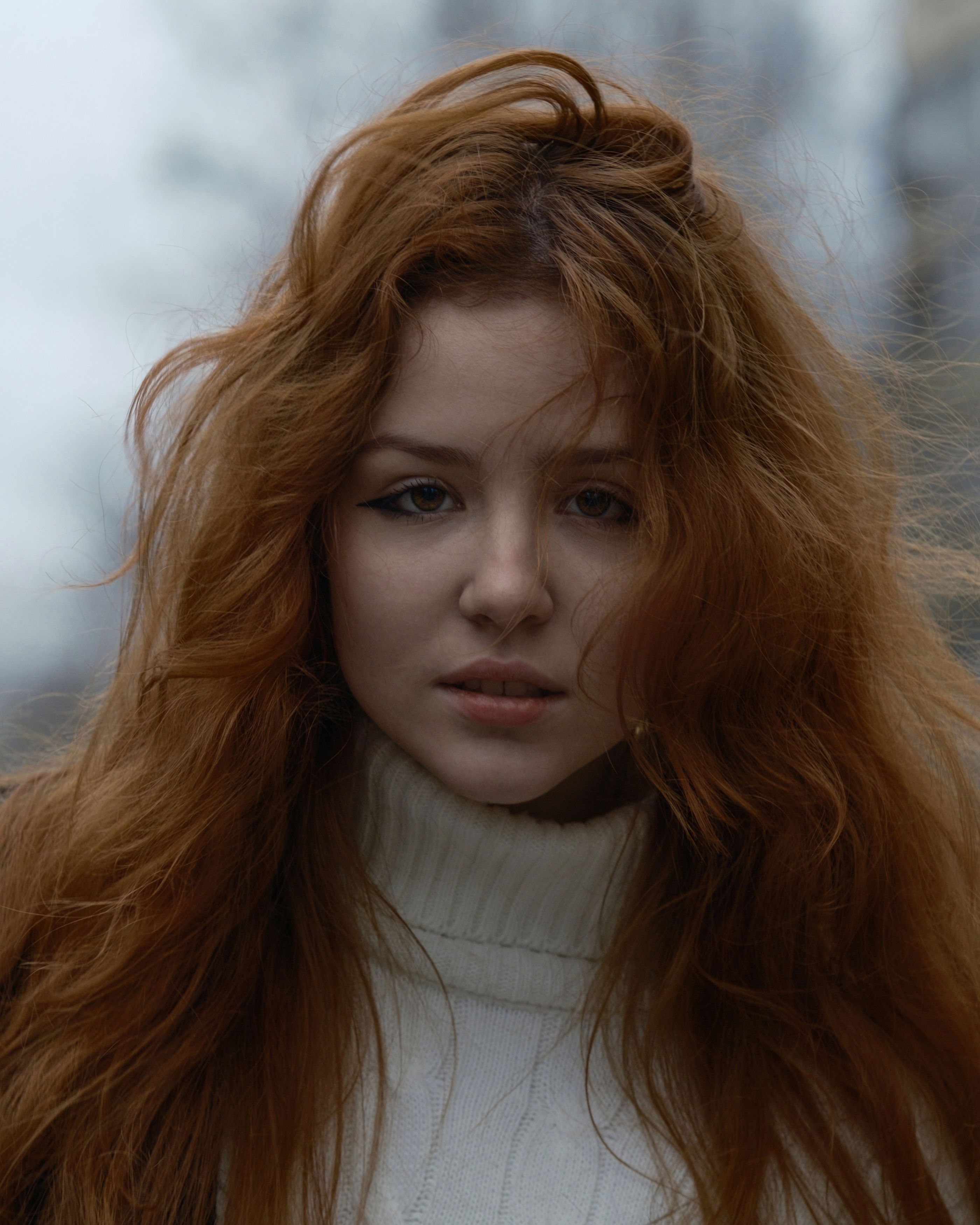 , Александр Денисов