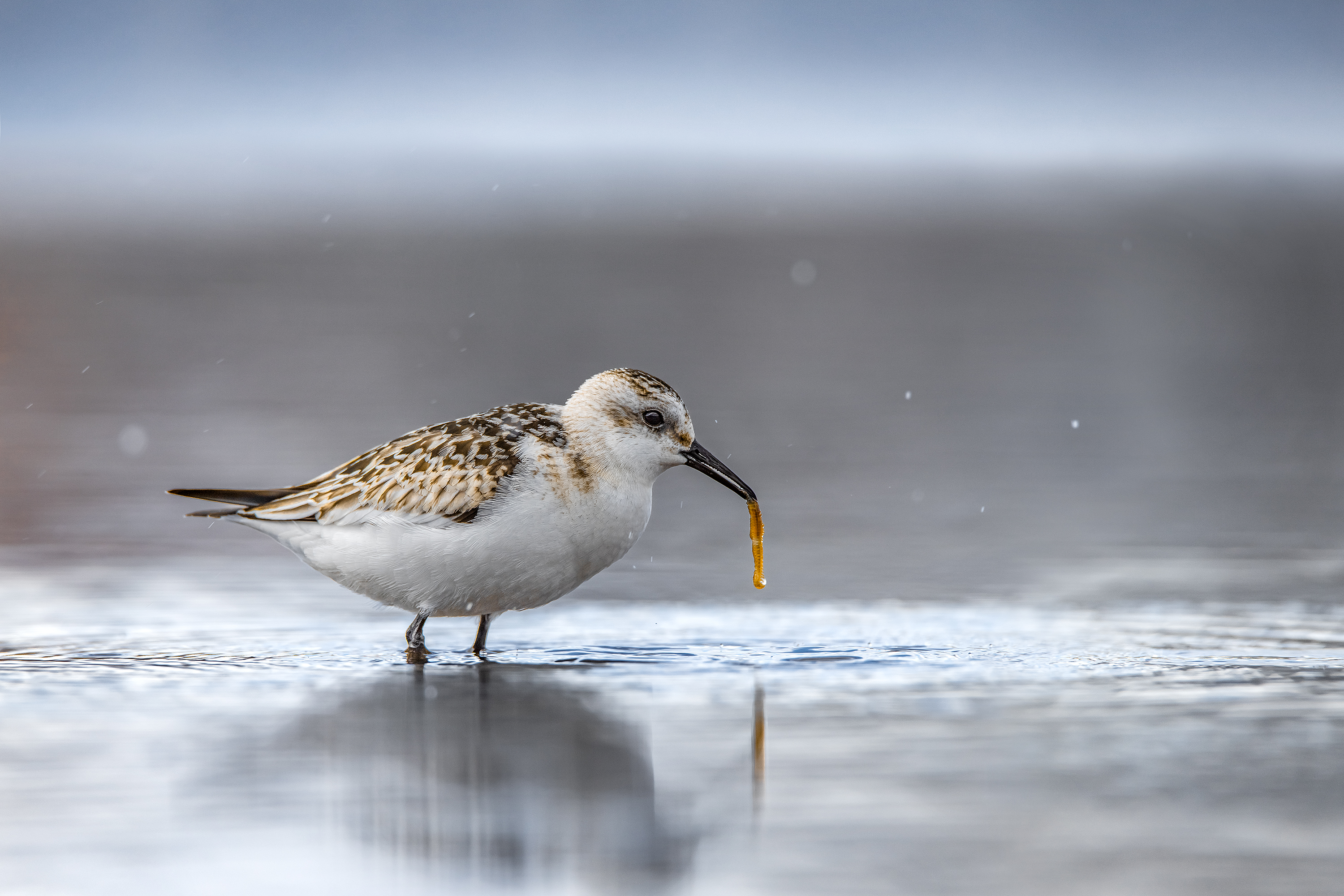 , Ожиганова Людмила