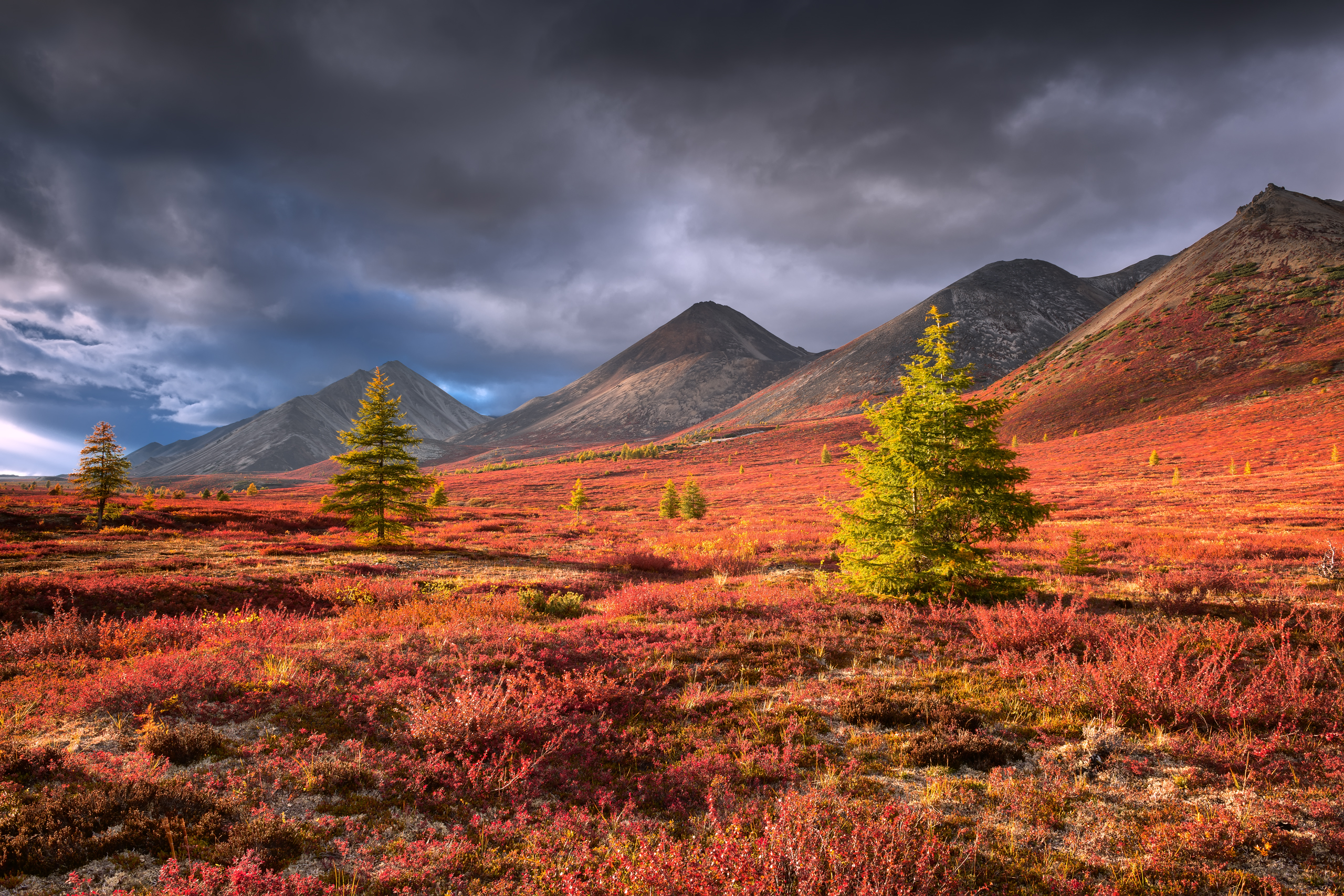 , Евдокимов Максим