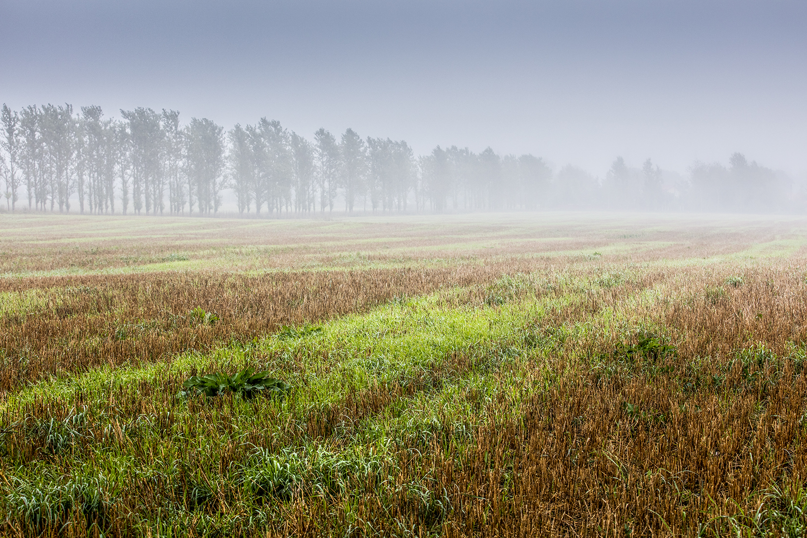 , Aleksandr Mihailov