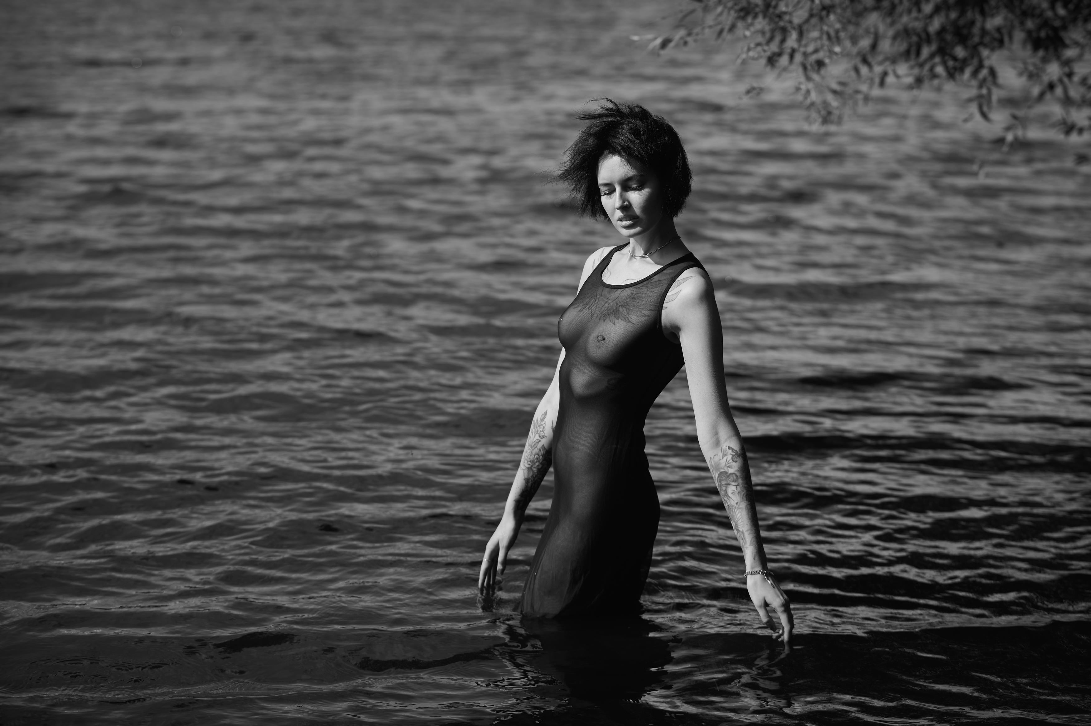 , Антон Покровский