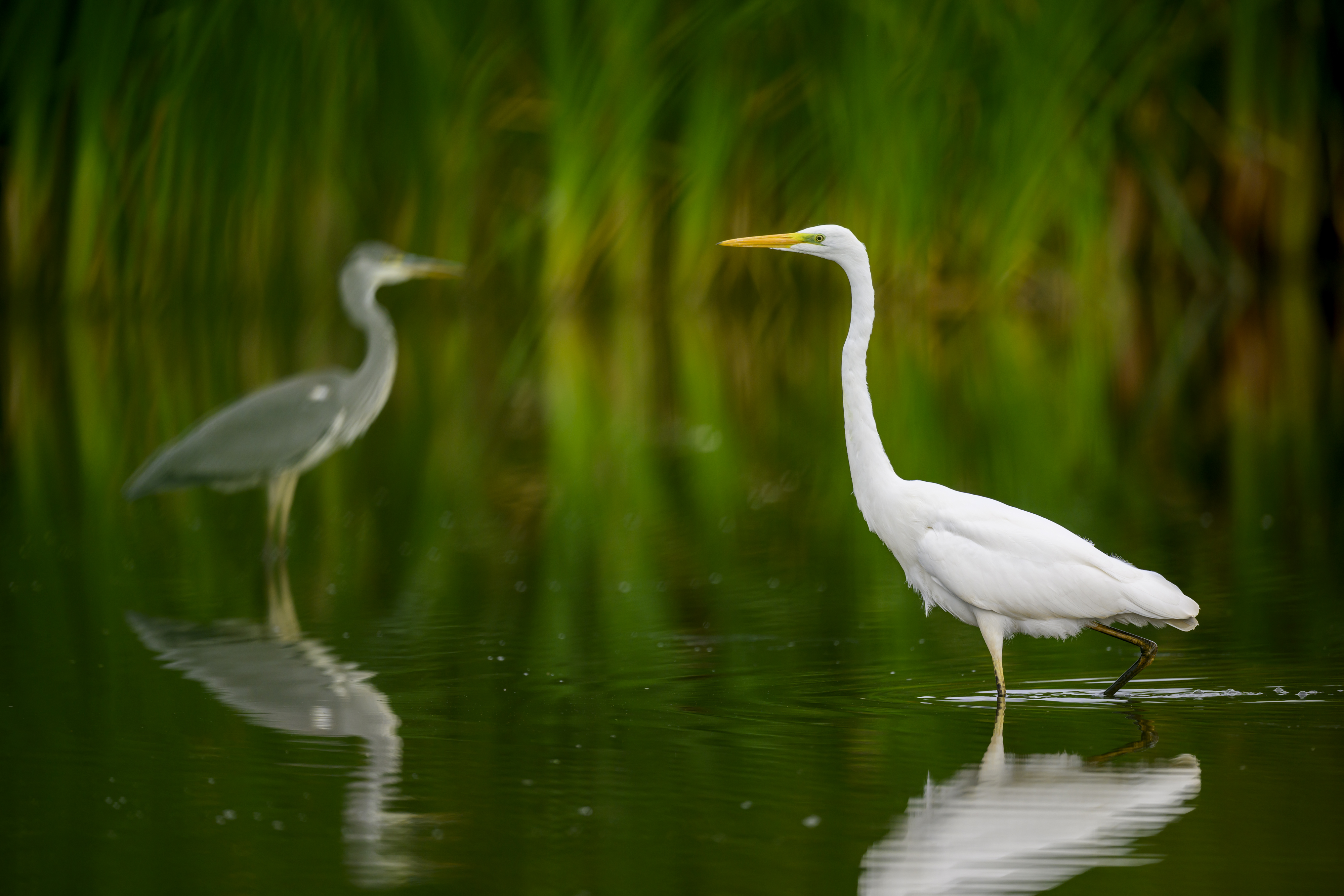 , Пупонин Сергей