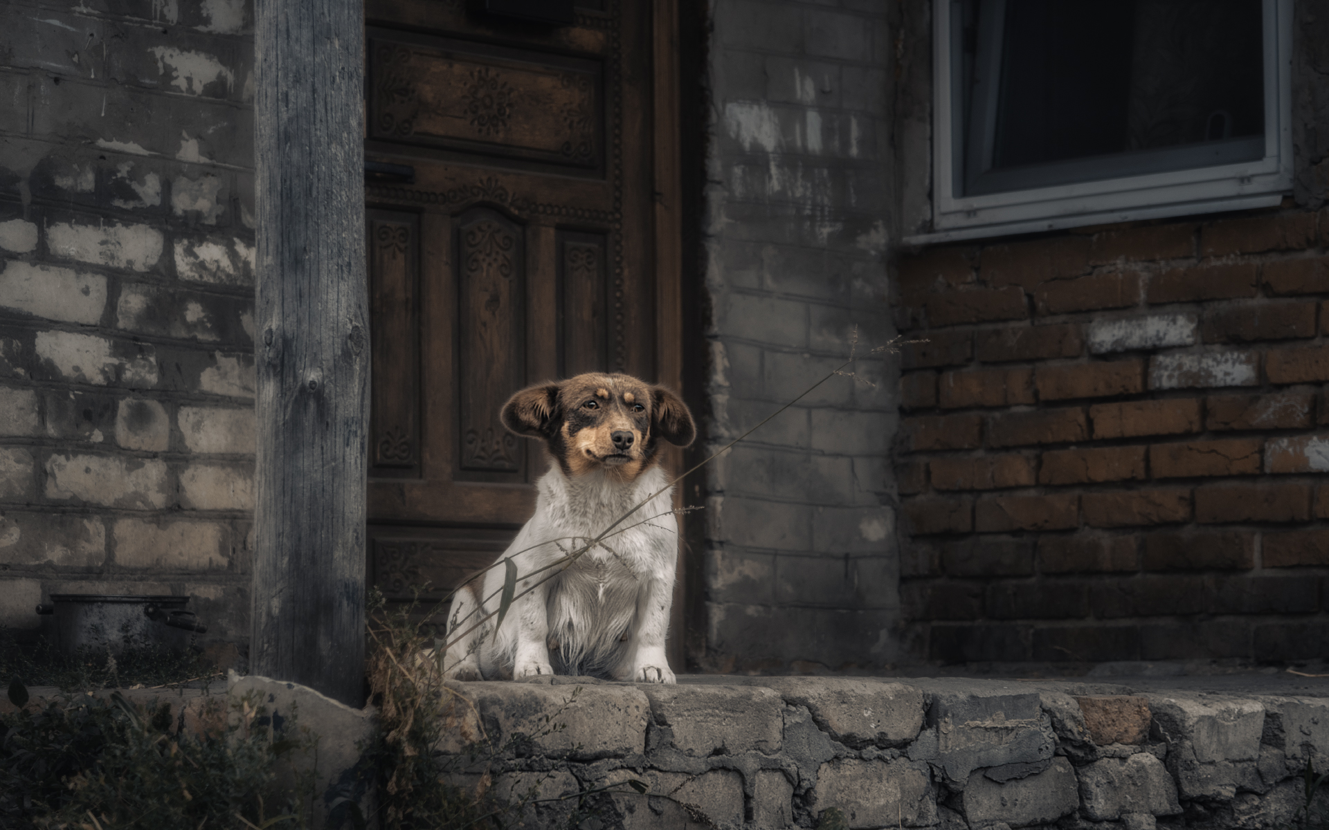 , Олег Дунаев