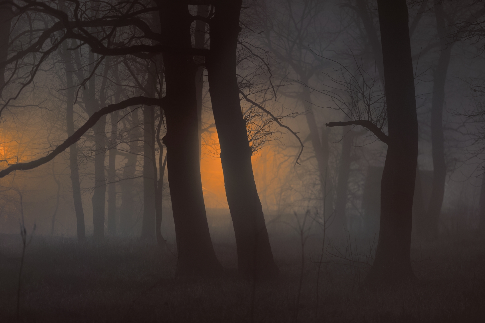 зима туман лес ночь, Александр Жарников