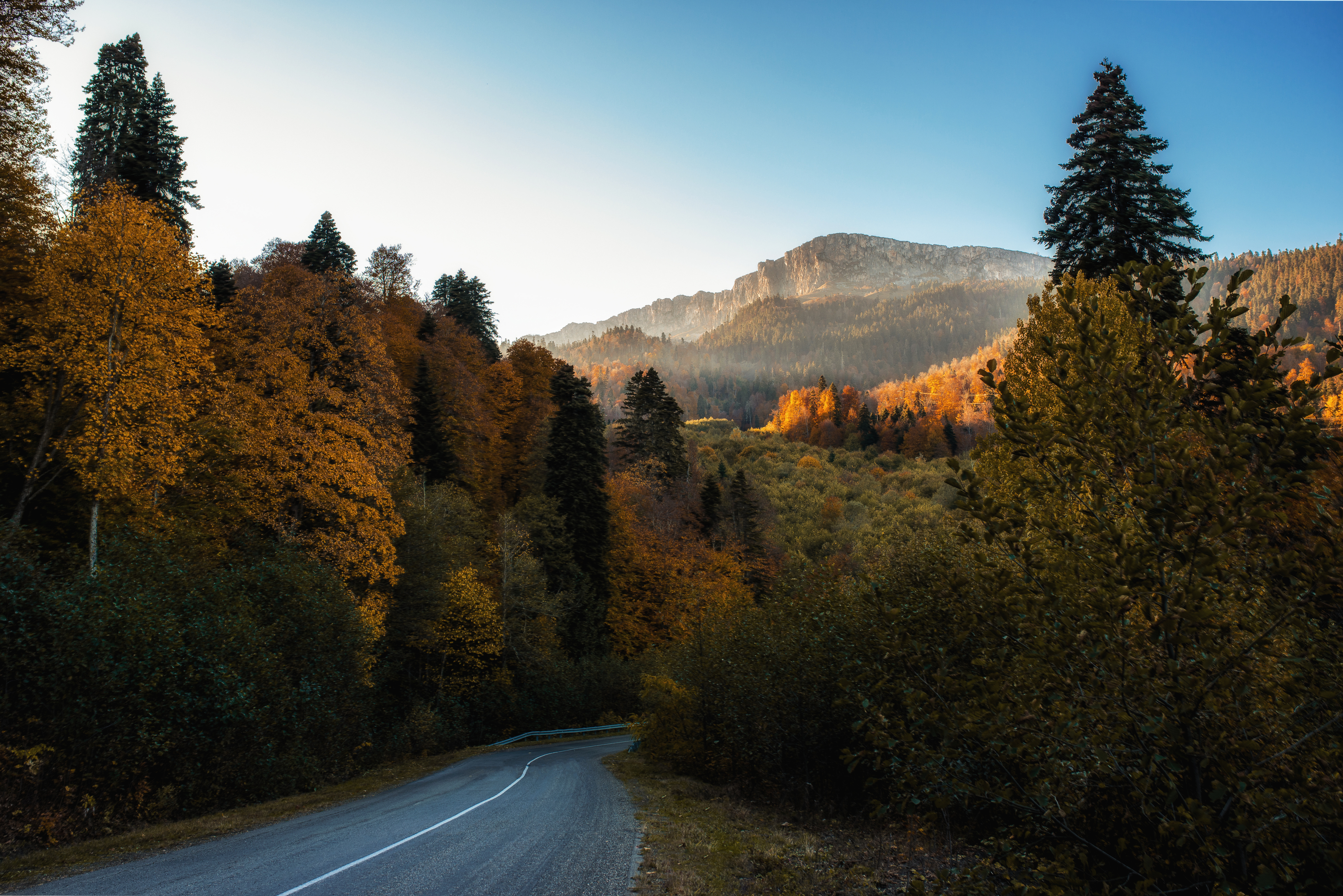 , Дмитрий Величко