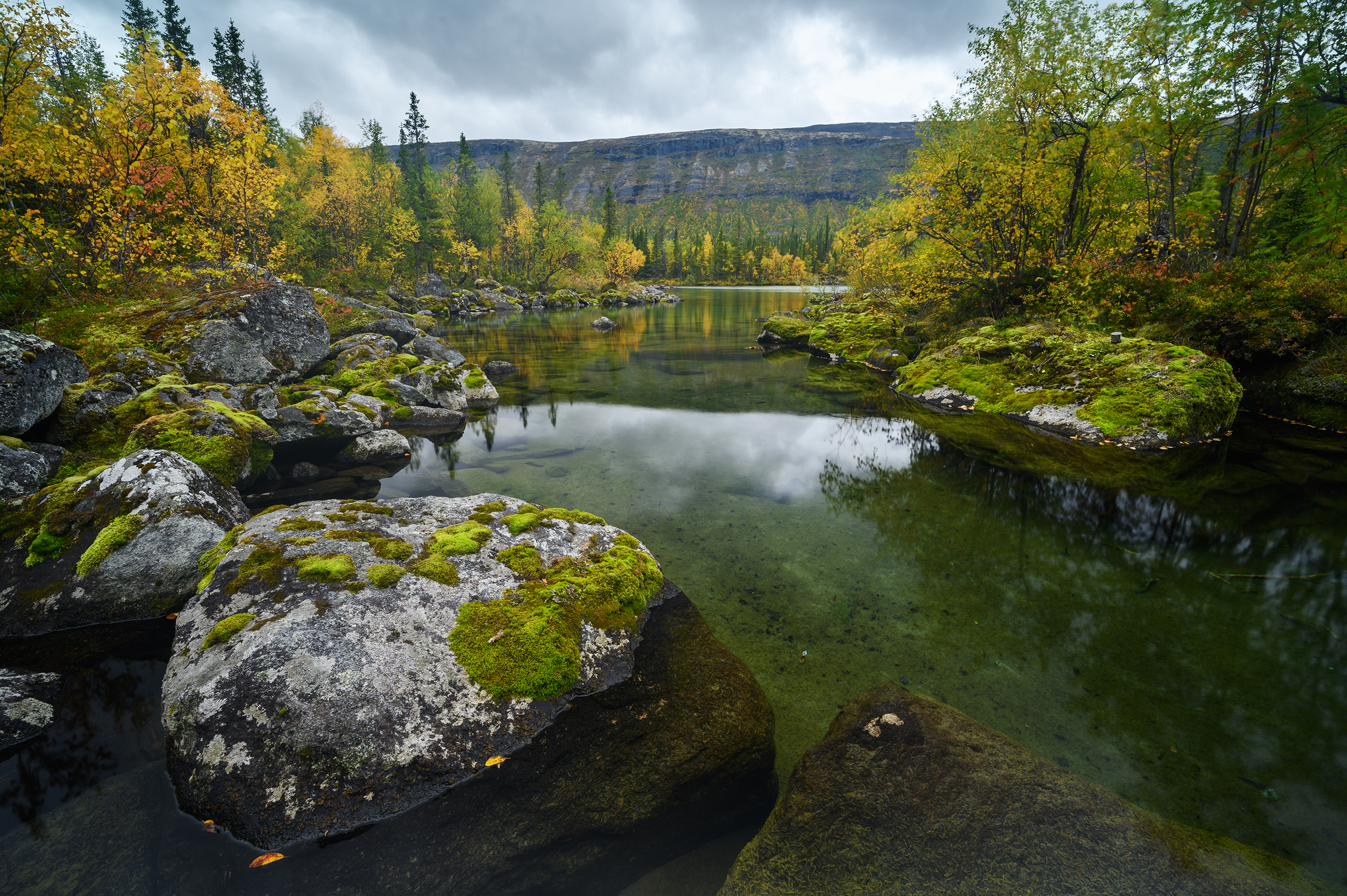 , Ян Сурогин