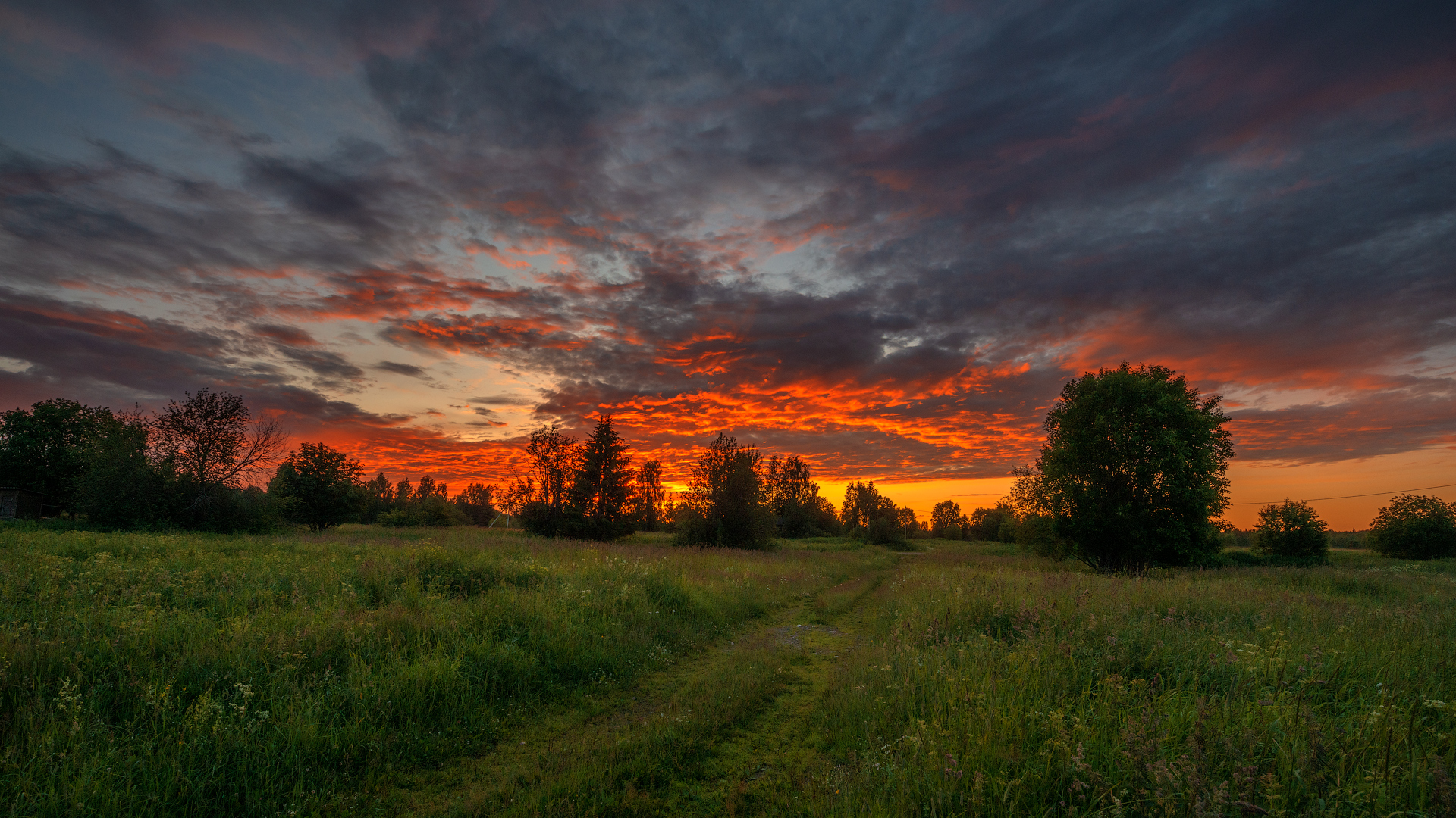 великий двор,вологодчина,кема,север, Роман Горячий
