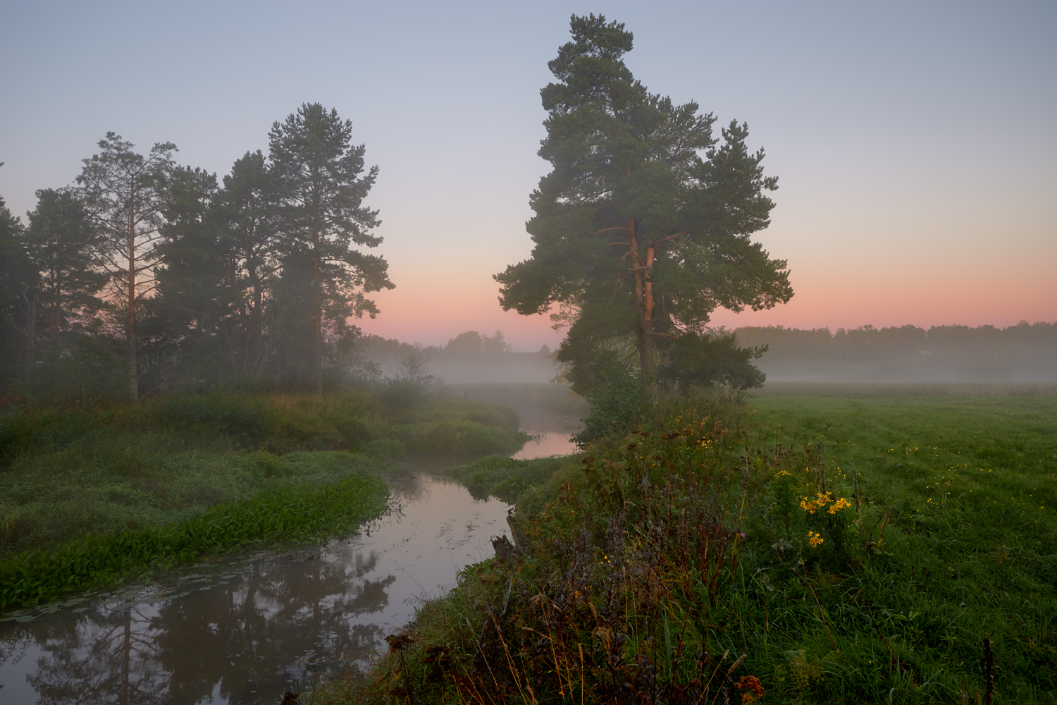 , Роман Лушпа