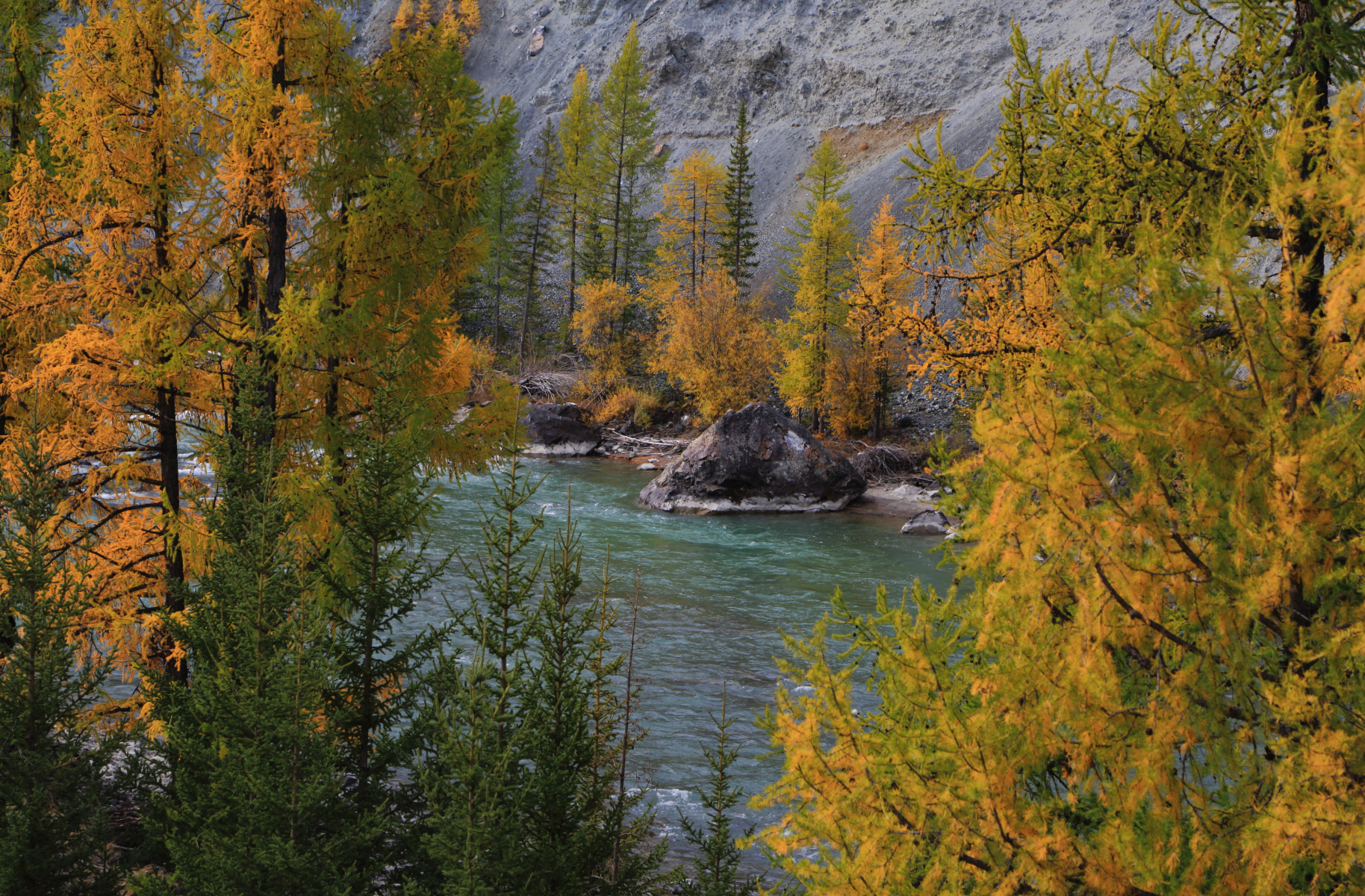 , Евгений Зинов