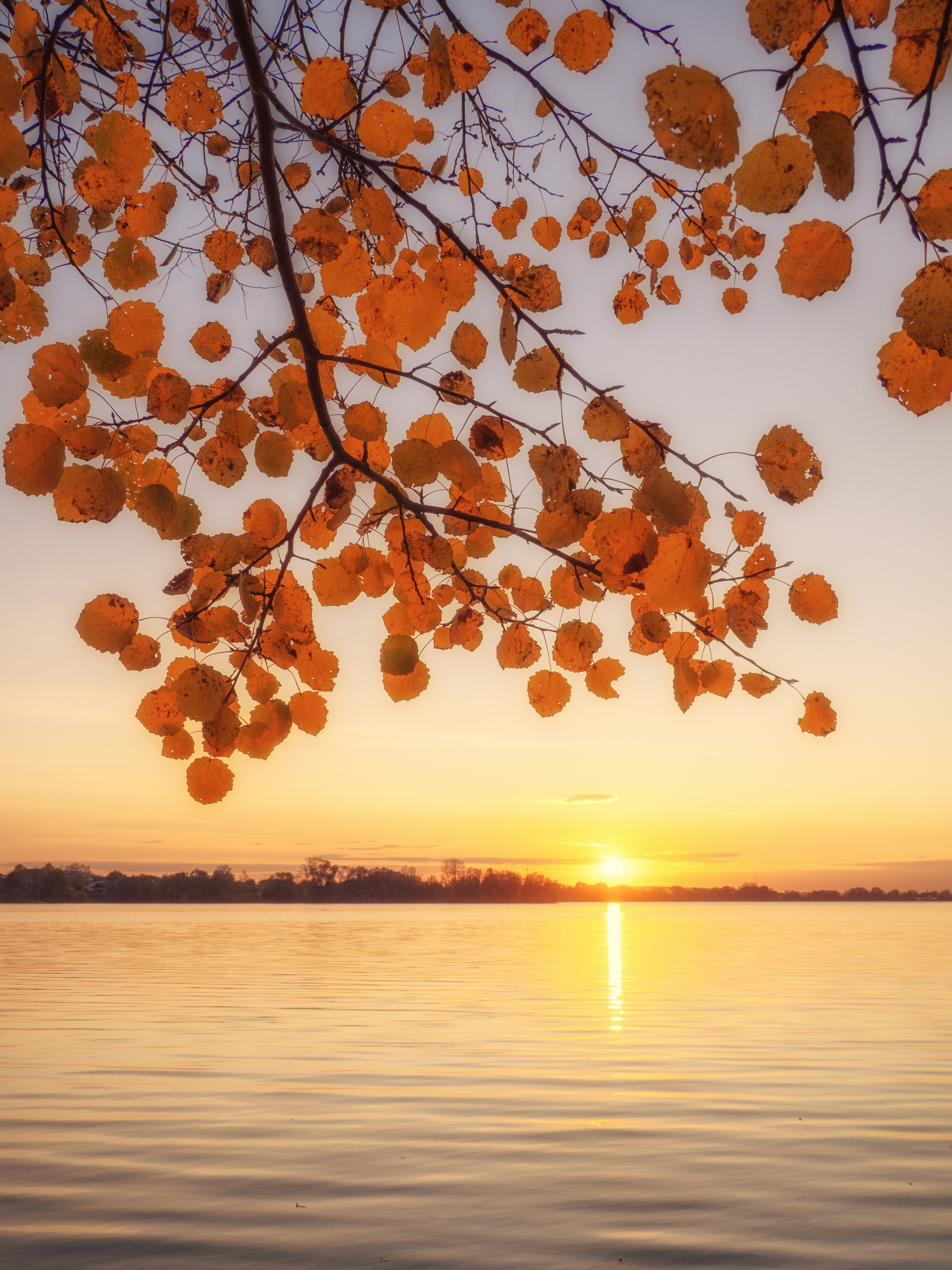 , Андрей Хаймин
