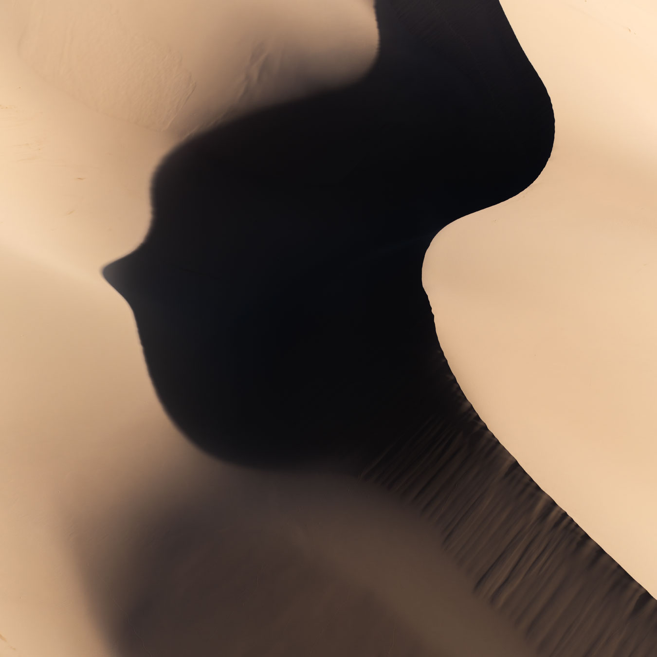 , Бушков Евгений