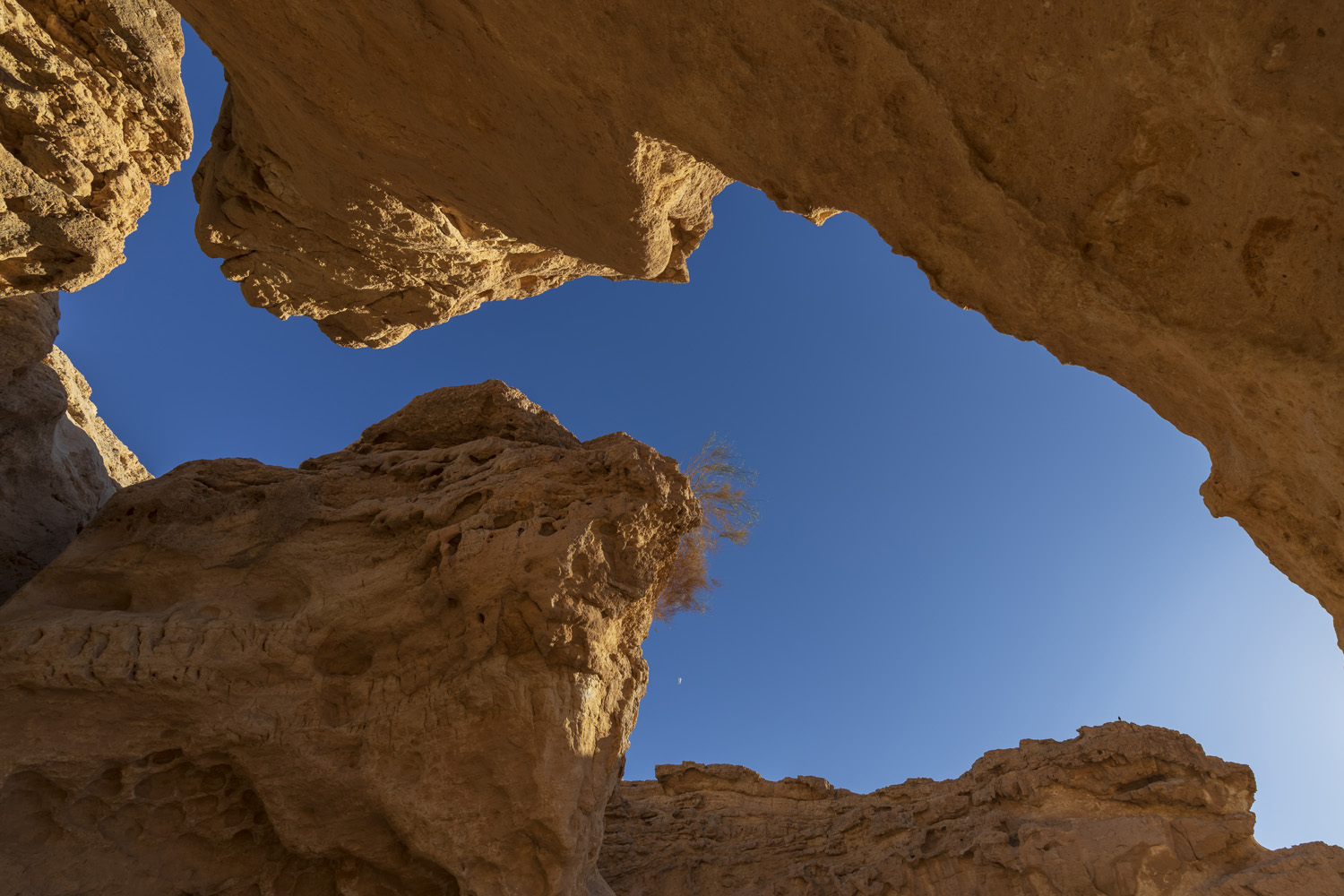 #desert #landscape #nature #rocks #israel, Nikolay Tatarchuk