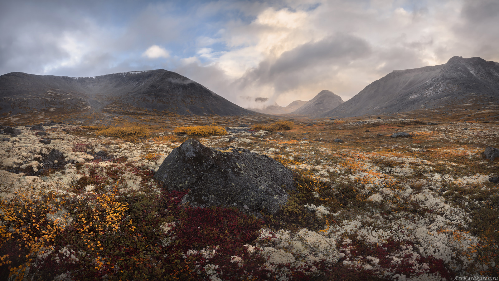 , Арсений Кашкаров