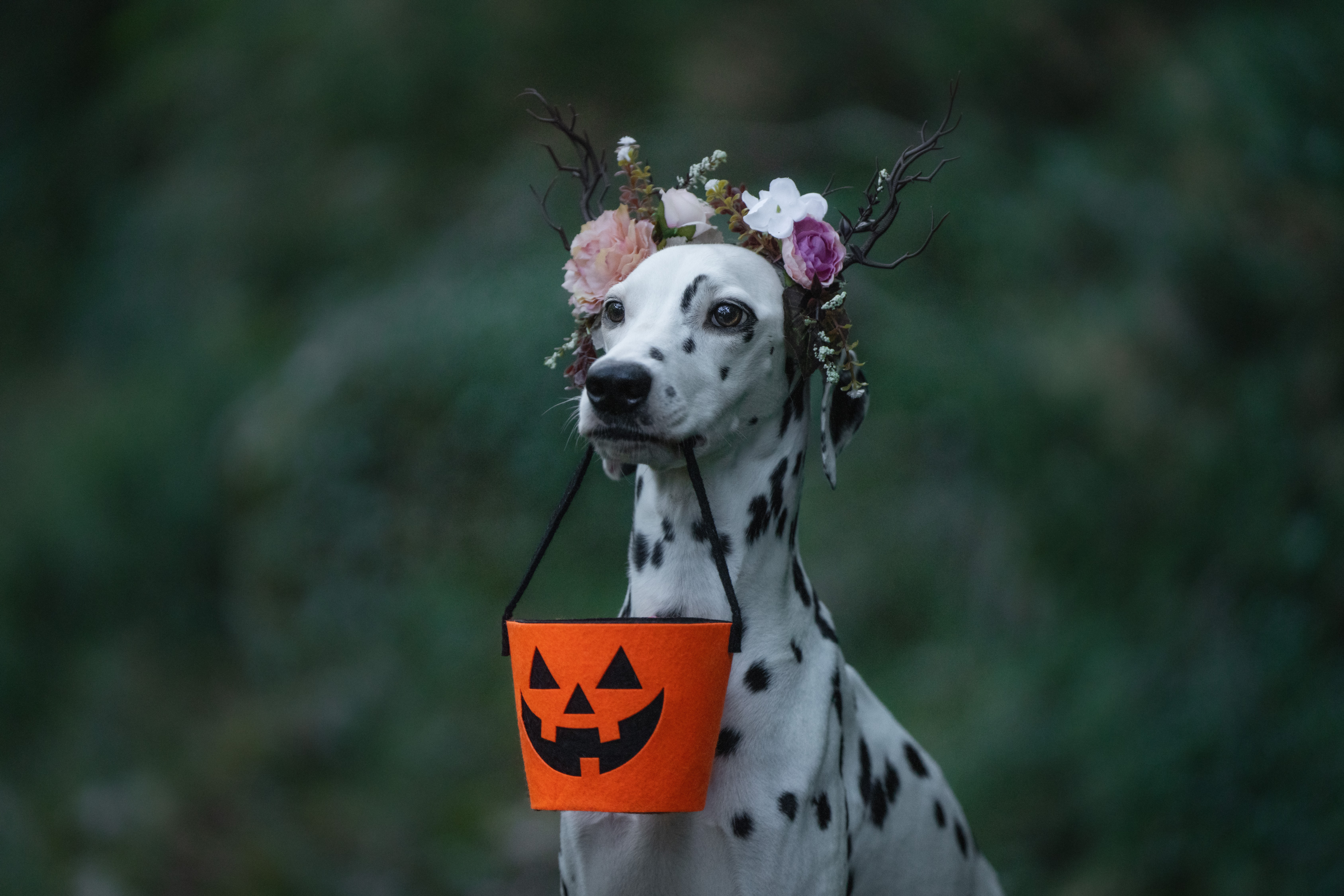 , Андрианова Ирина