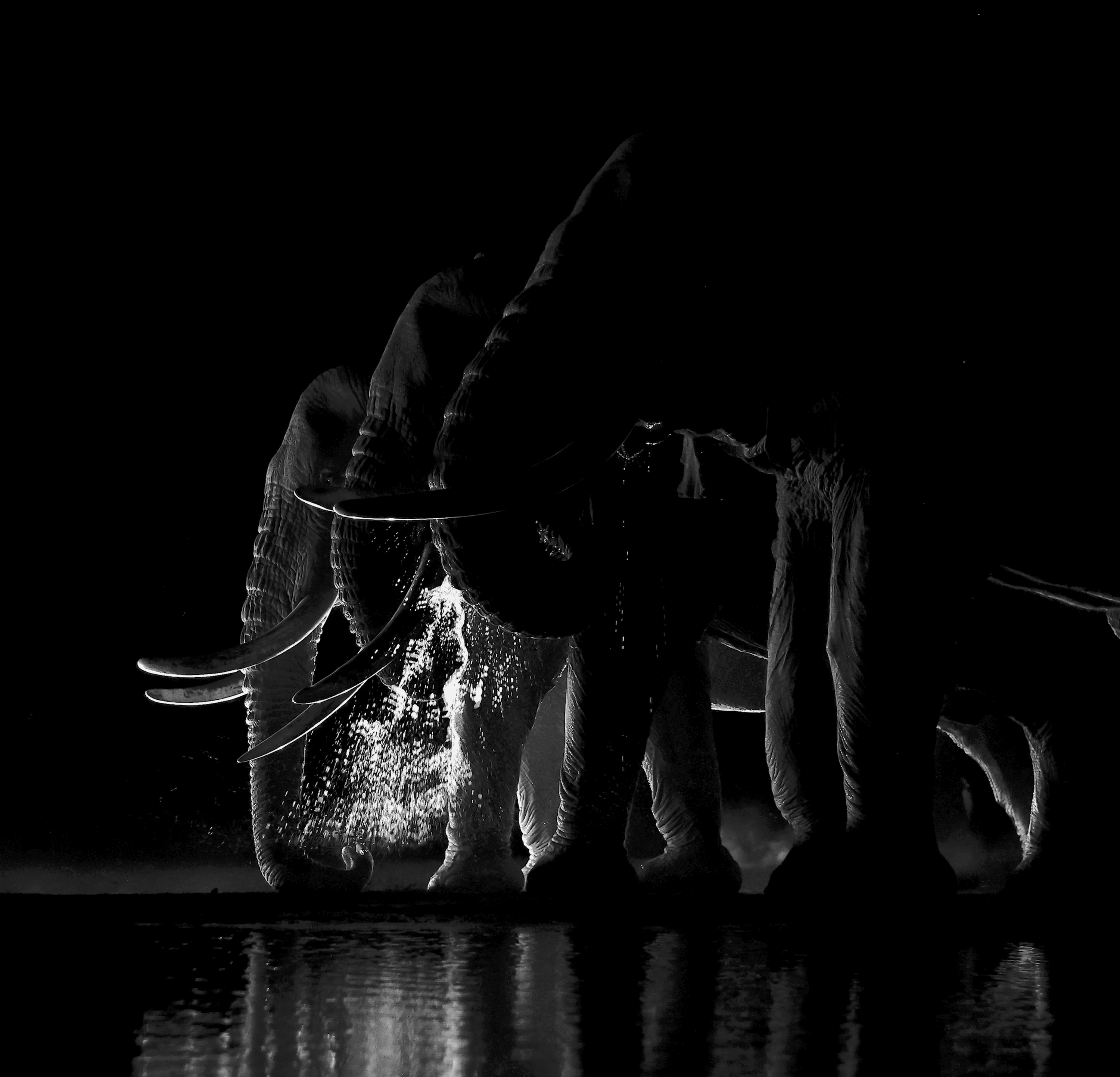 , Гудков Андрей