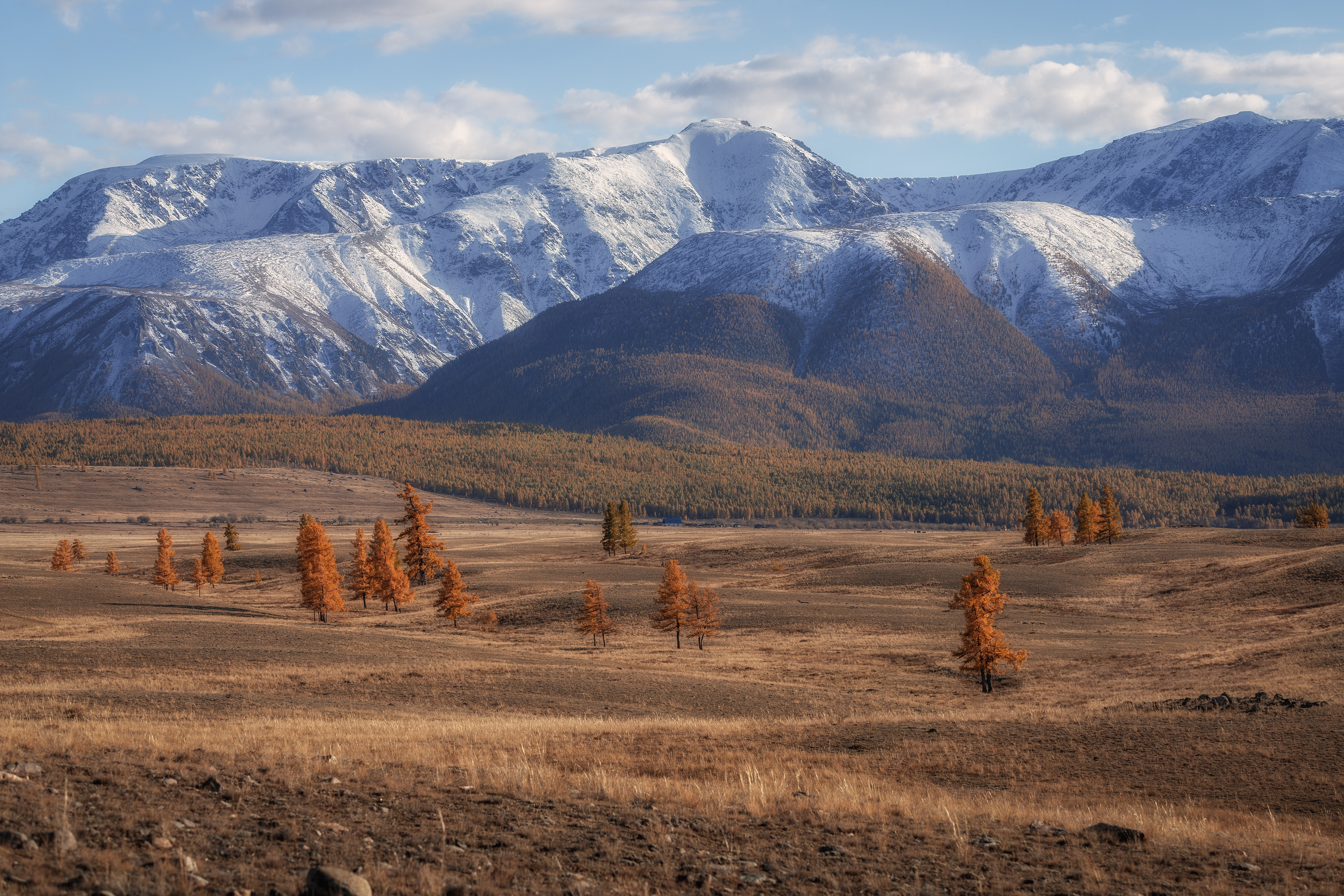 Алтай, Гусева Елена