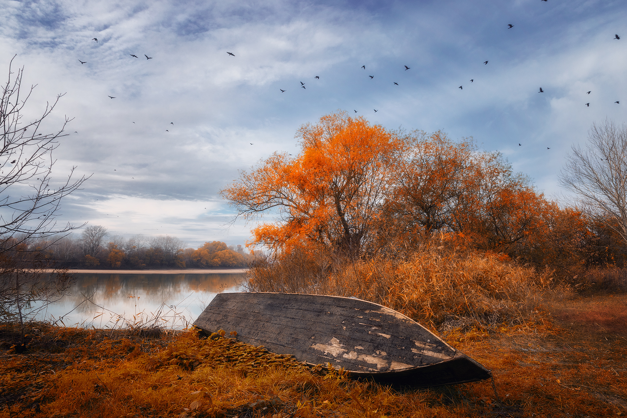 , Костенко Александр