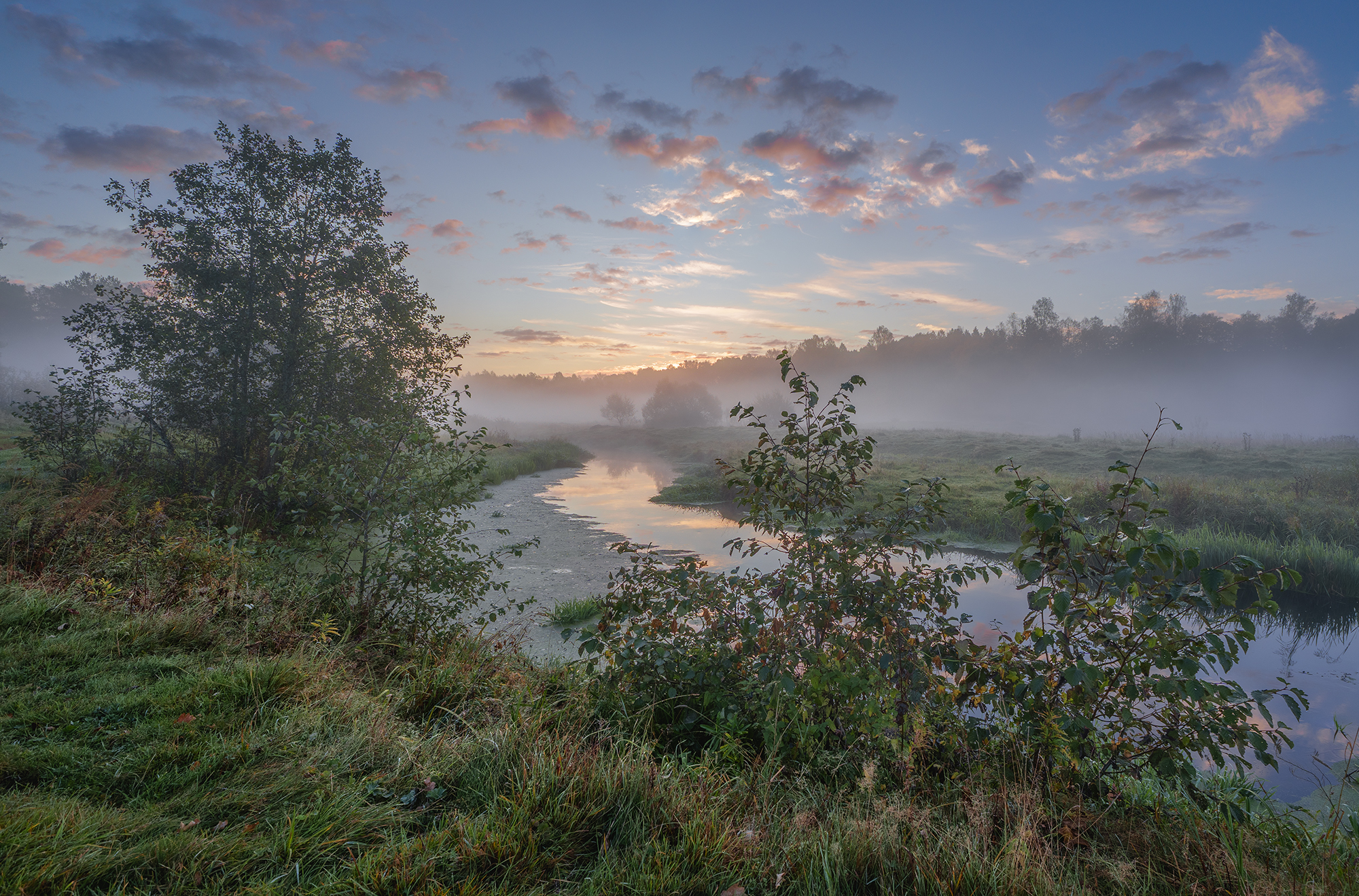 , Андреев Николай