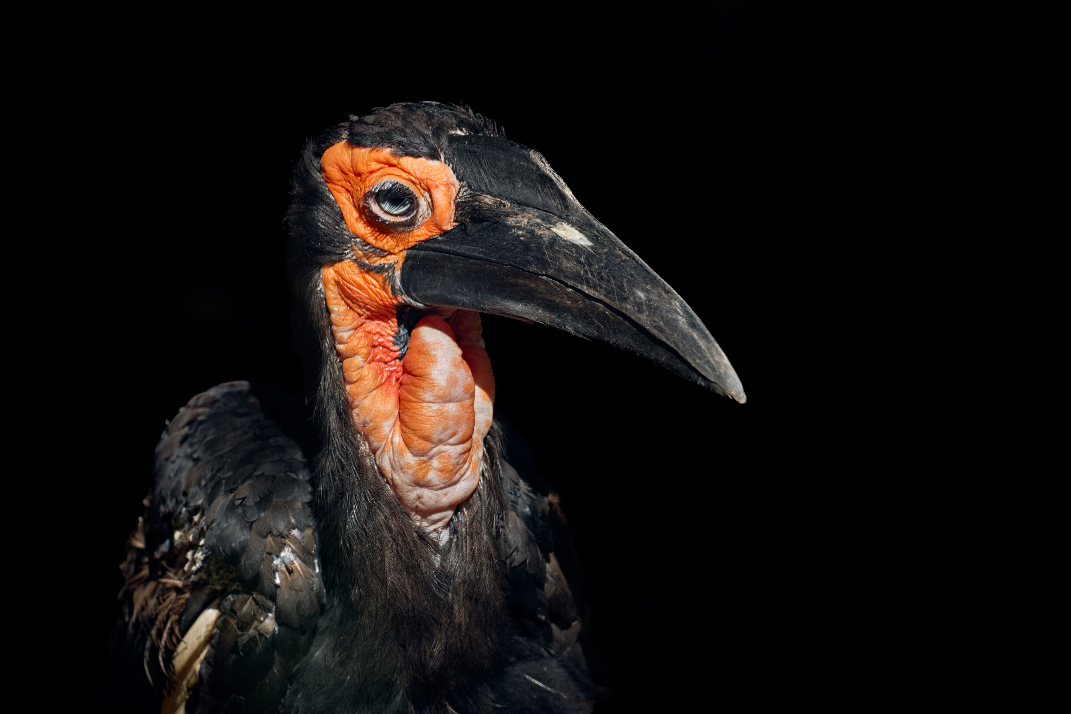 , ssmirs Сергей