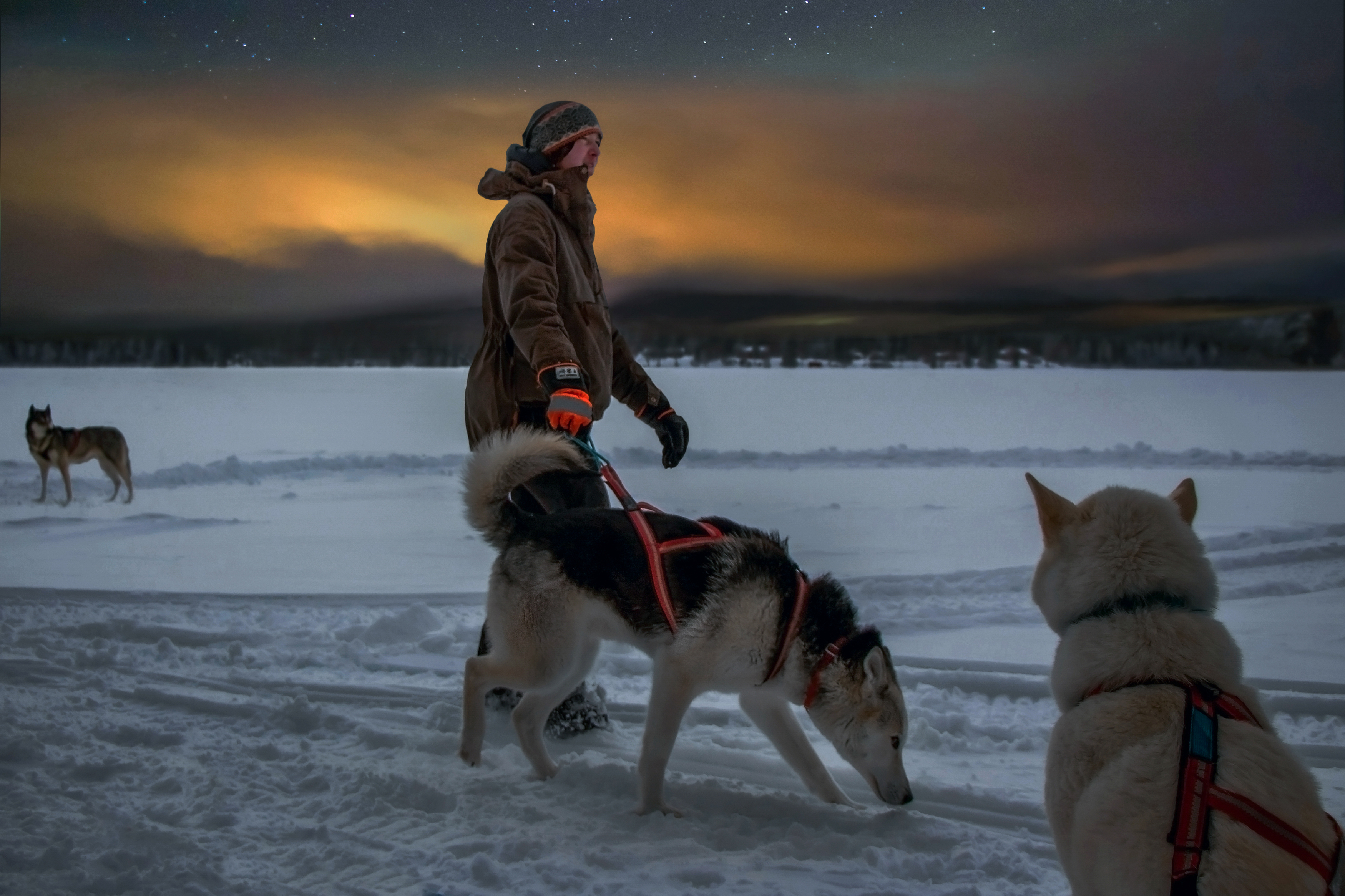 , Вадим Городницкий