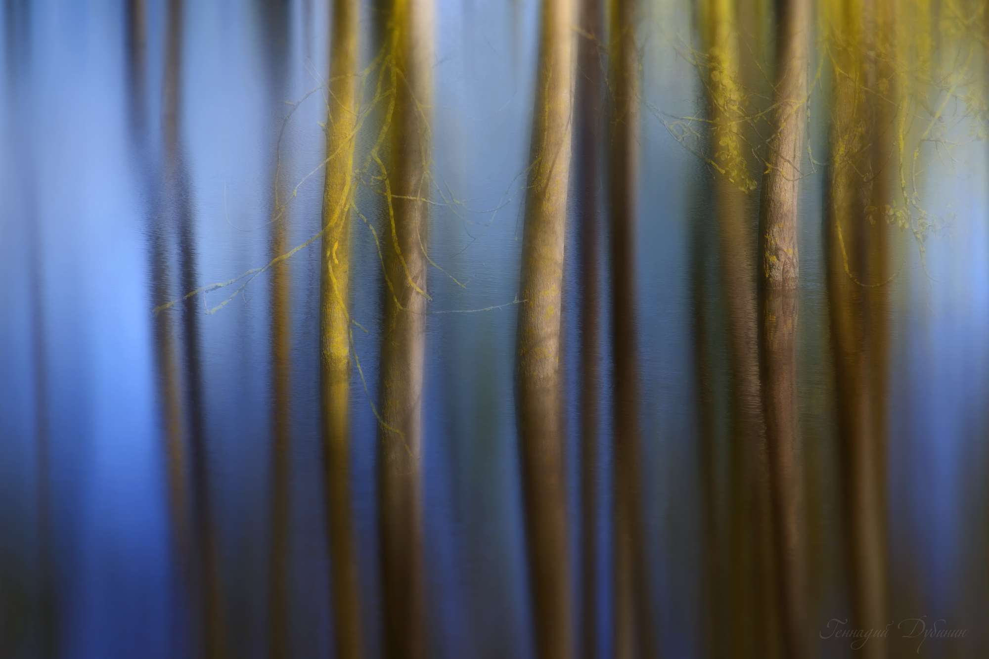 , Геннадий Дубинин