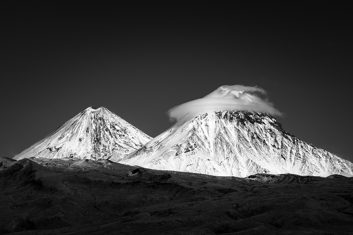 , Моисеева Надежда