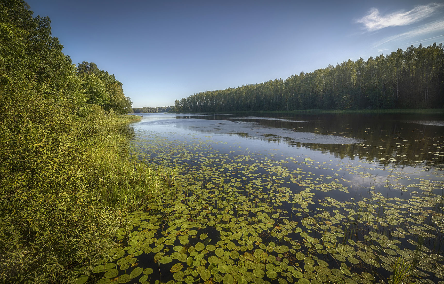 , Сергей Аникин
