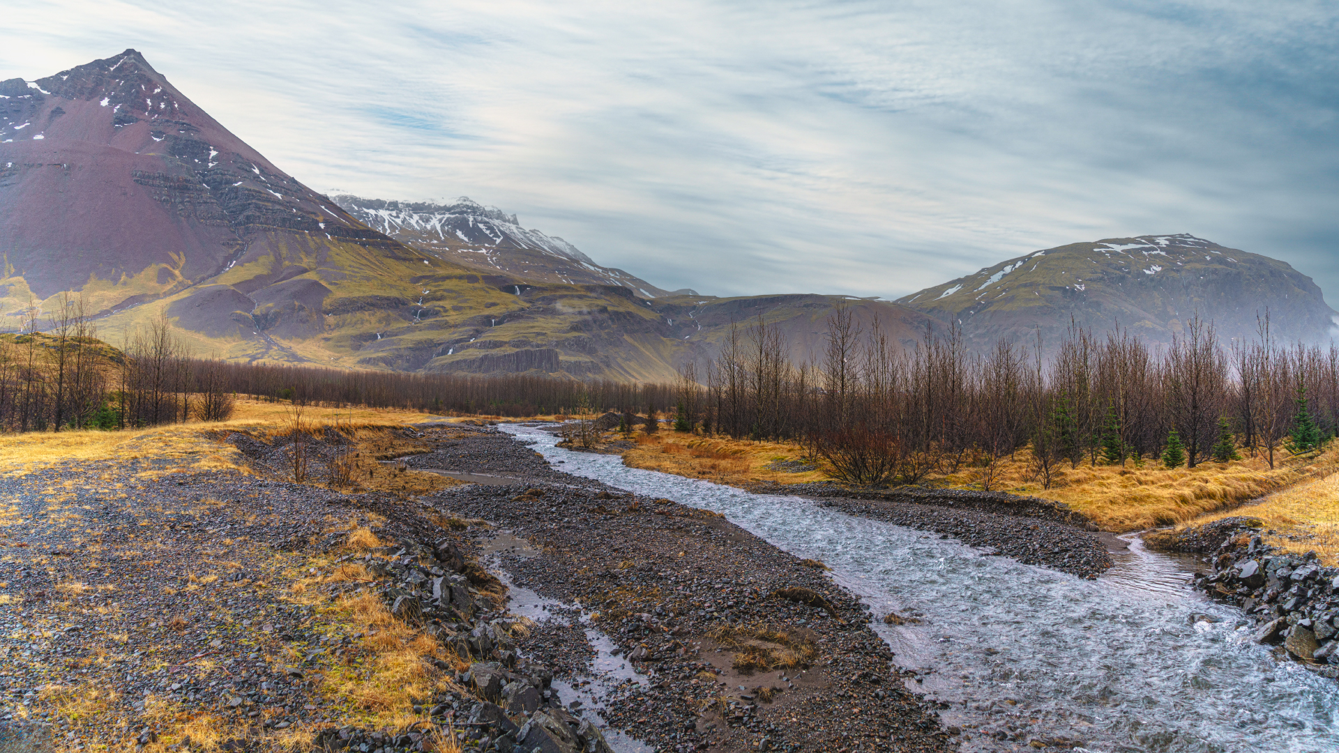 , Шварцман Евгений