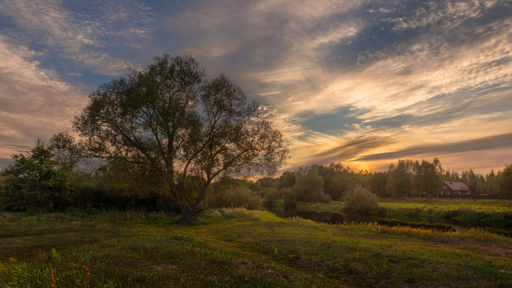 , Михаил Кушнер