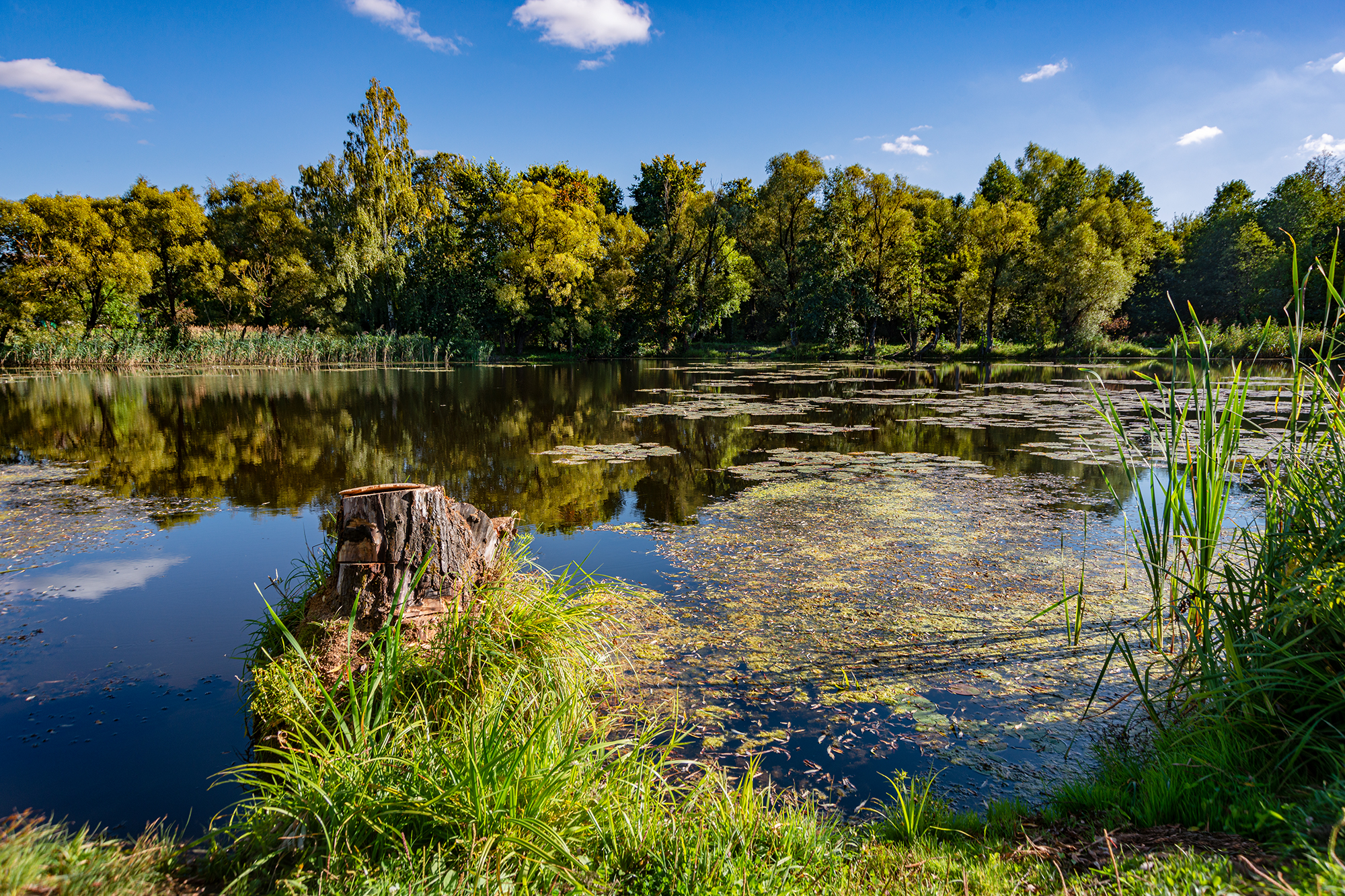 , Владимир Ноздрачев