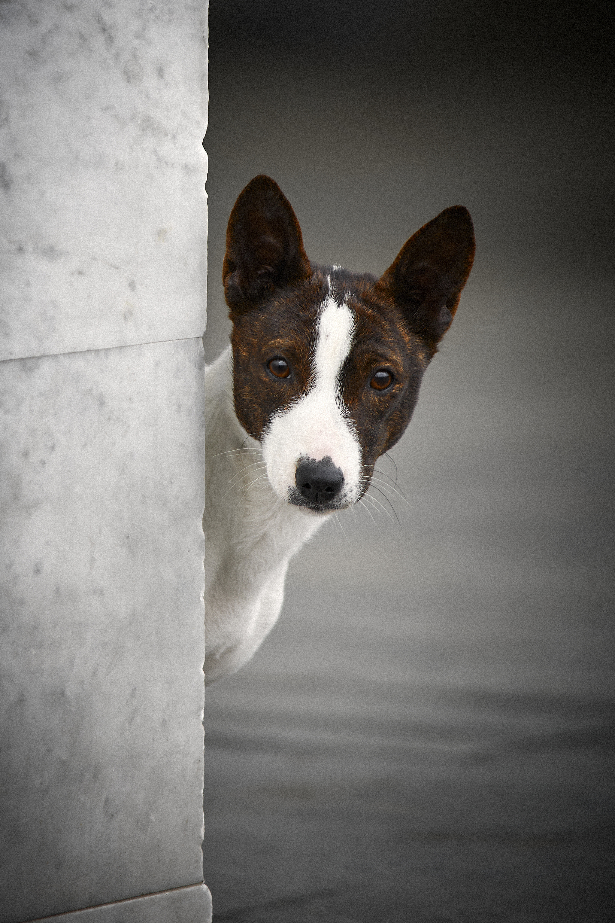 , Вострецов Иван