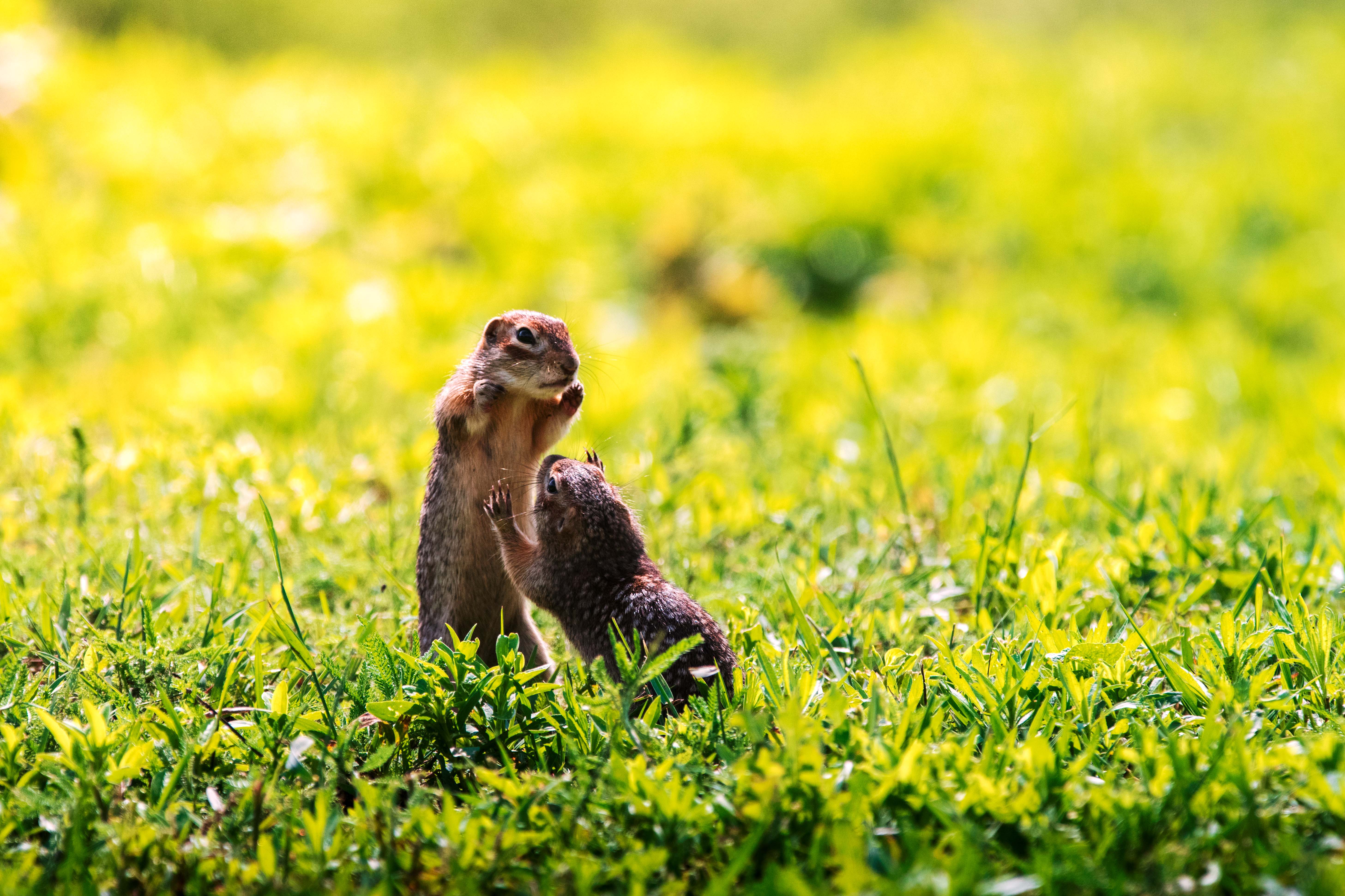 , Павел Ныриков