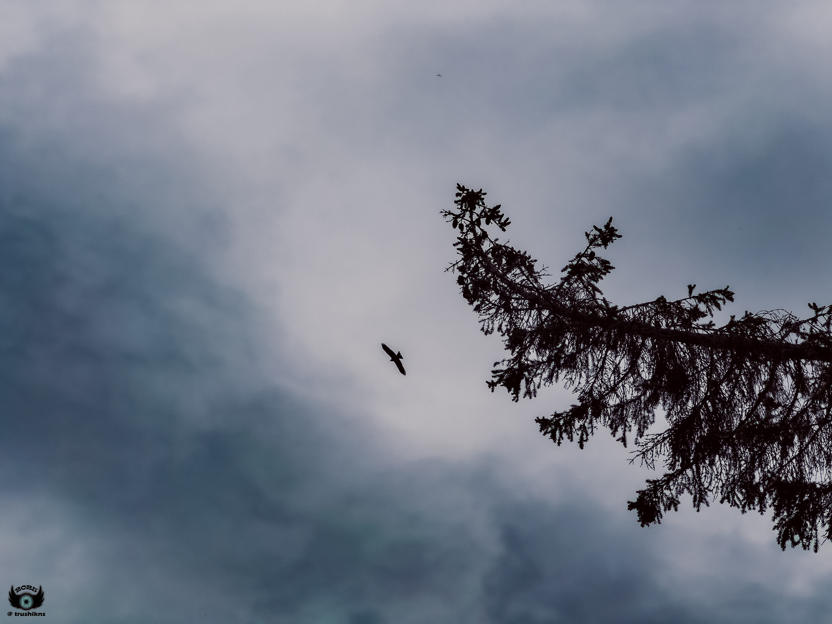 , Vladislav Trushkov