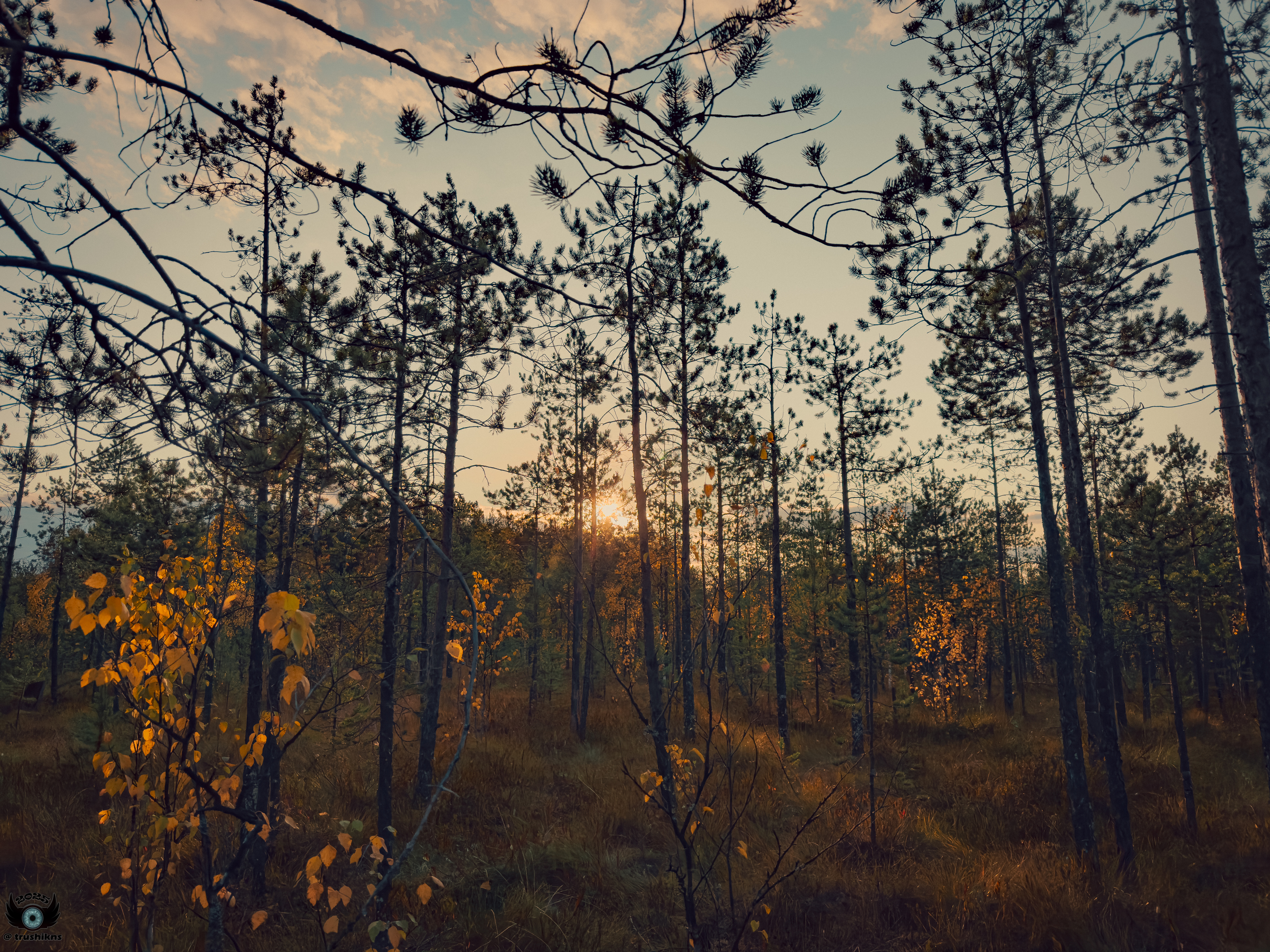 , Vladislav Trushkov