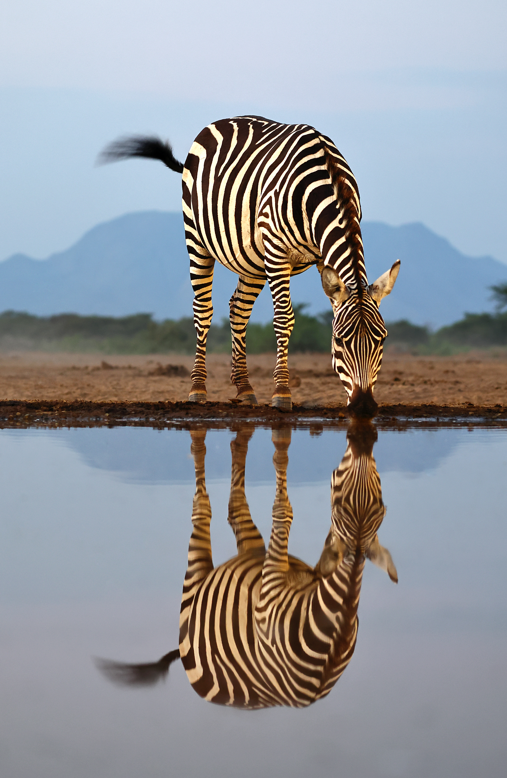 , Гудков Андрей