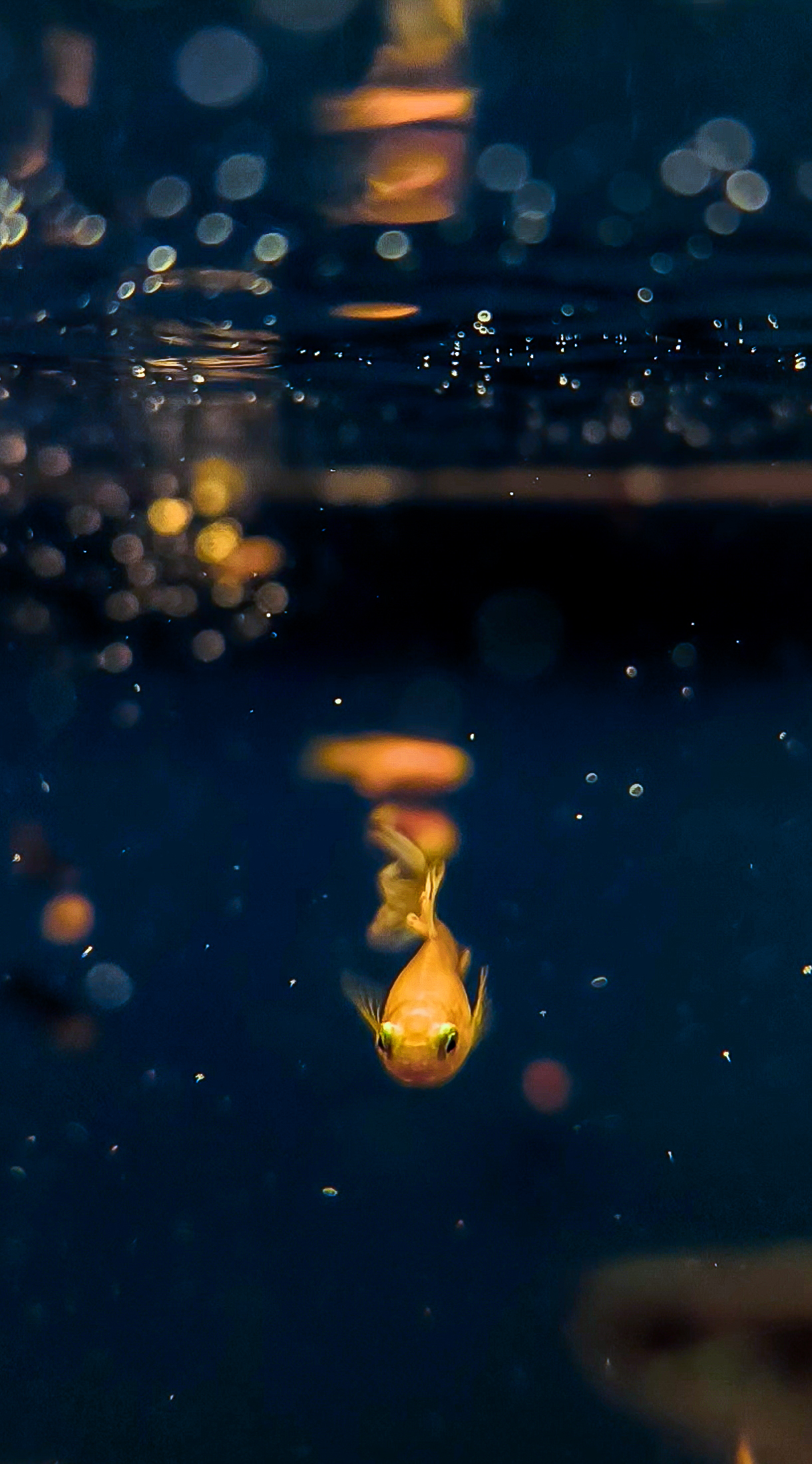 , Раимун Алексей